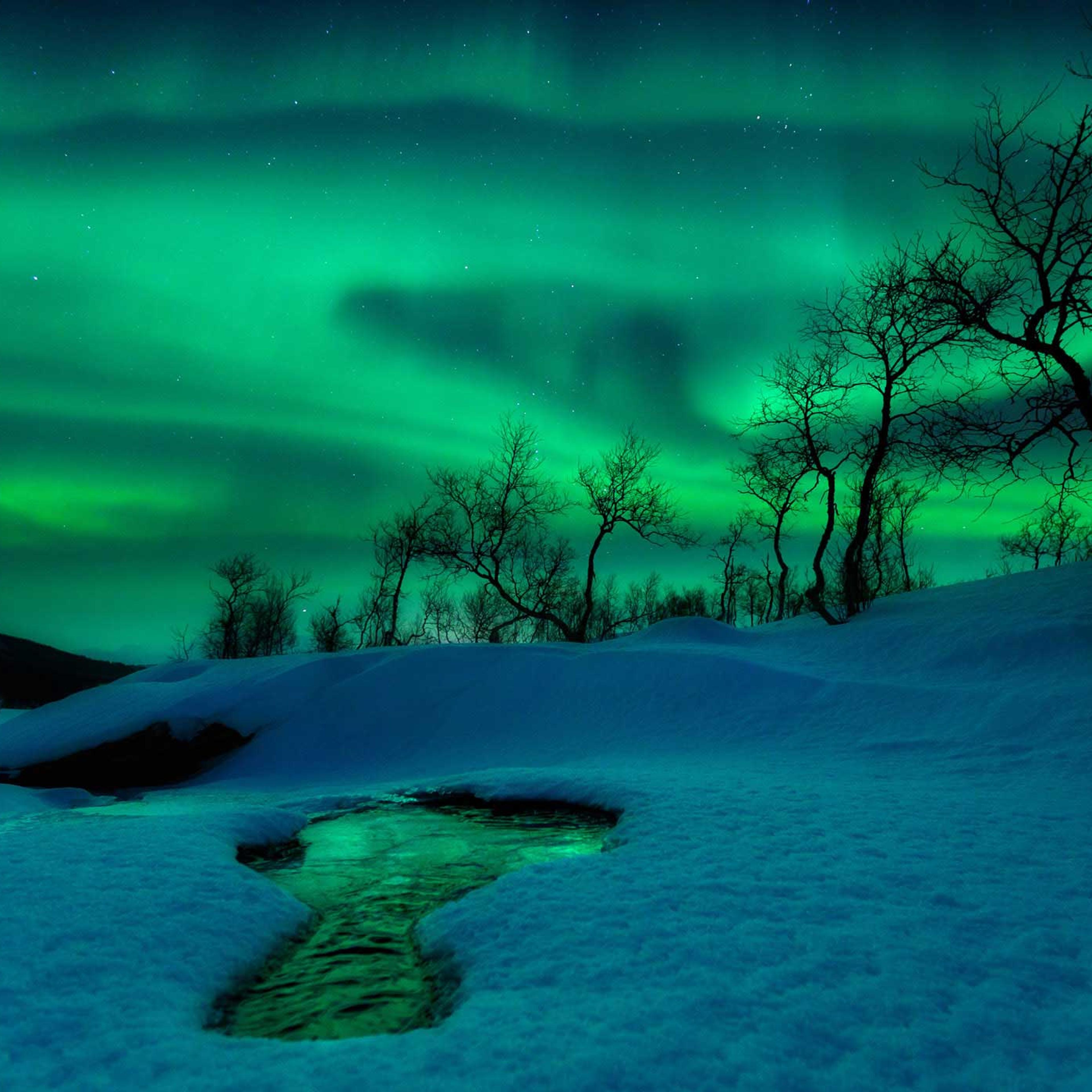 The aurora borealis traces the shifting patterns of the Earth's magnetic field, creating a spectacular midwinter show in Nordland Fylke, Norway. The green light in this image comes from oxygen atoms high in the atmosphere, which have been energized by su