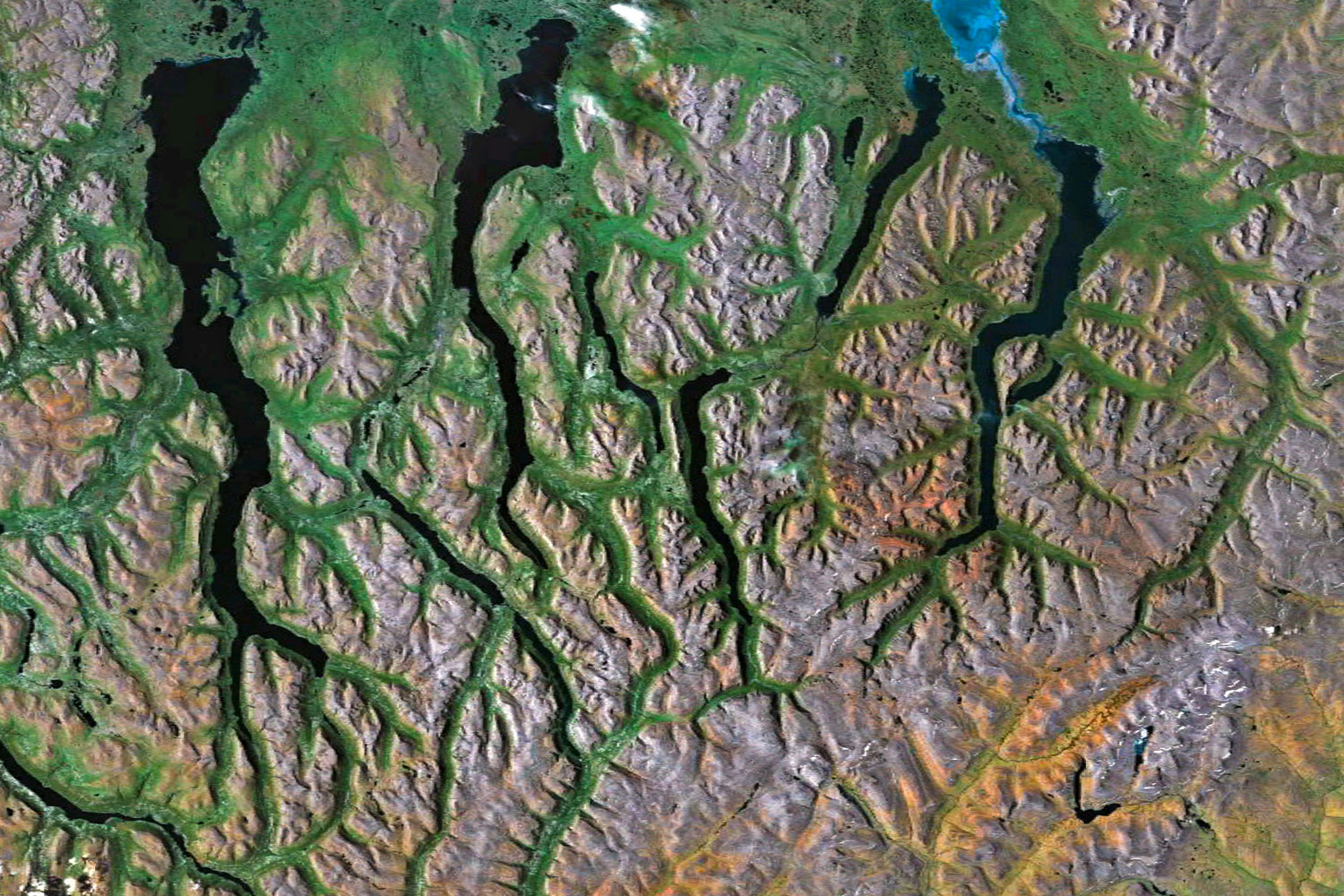 Fractal Patterns on Earth as Seen from Space