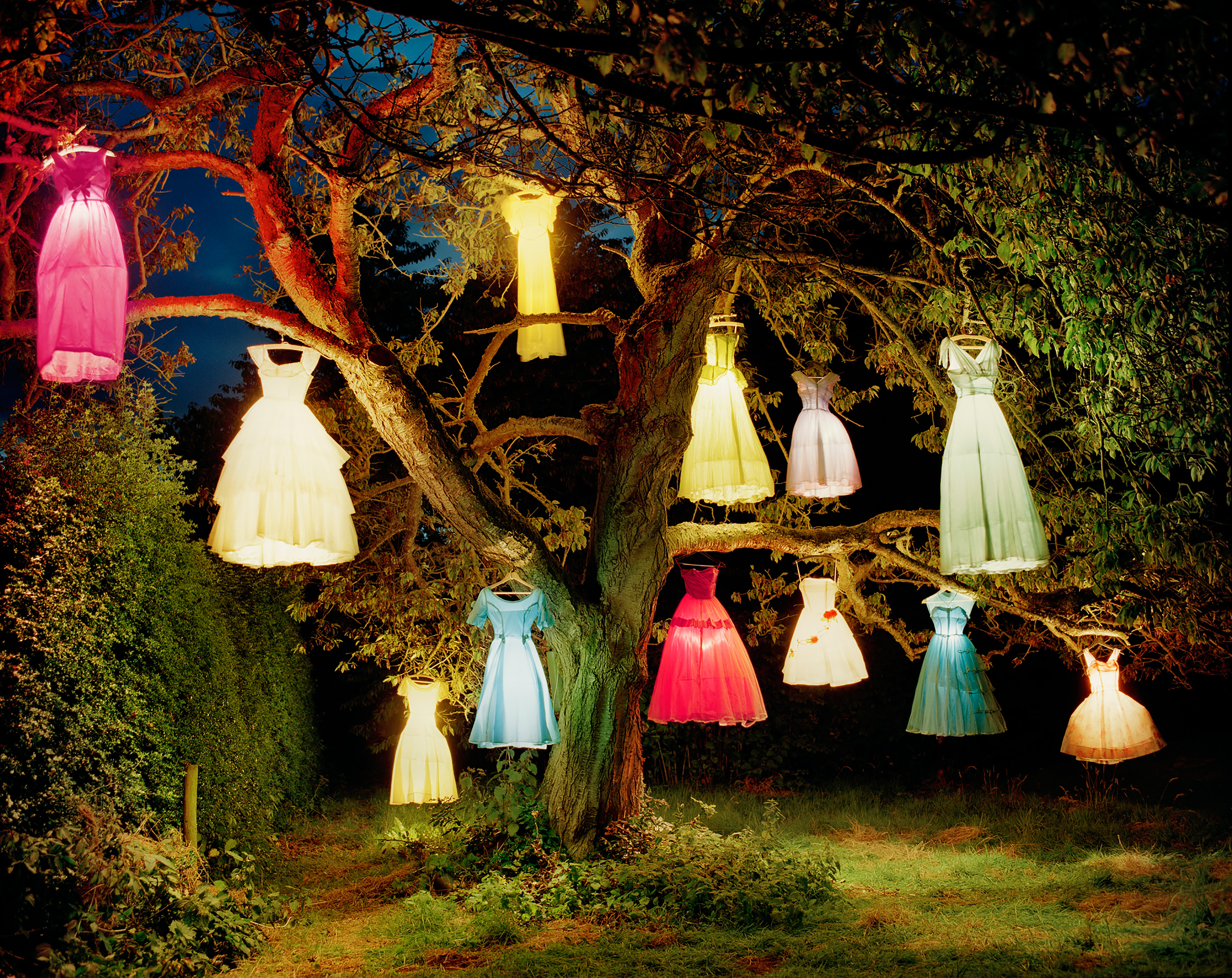 The Dress-Lamp Tree, England, 2002