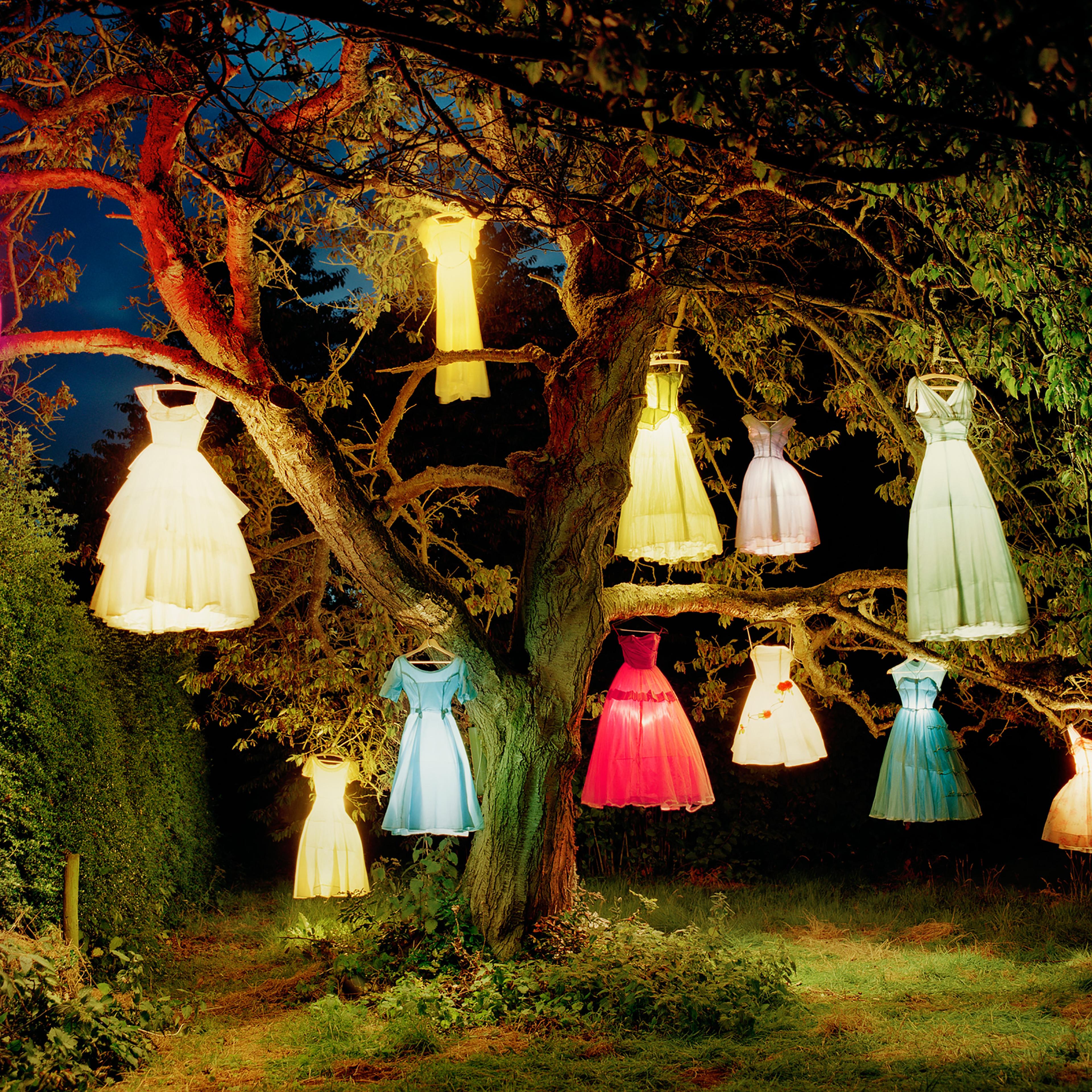 The Dress-Lamp Tree, England, 2002
