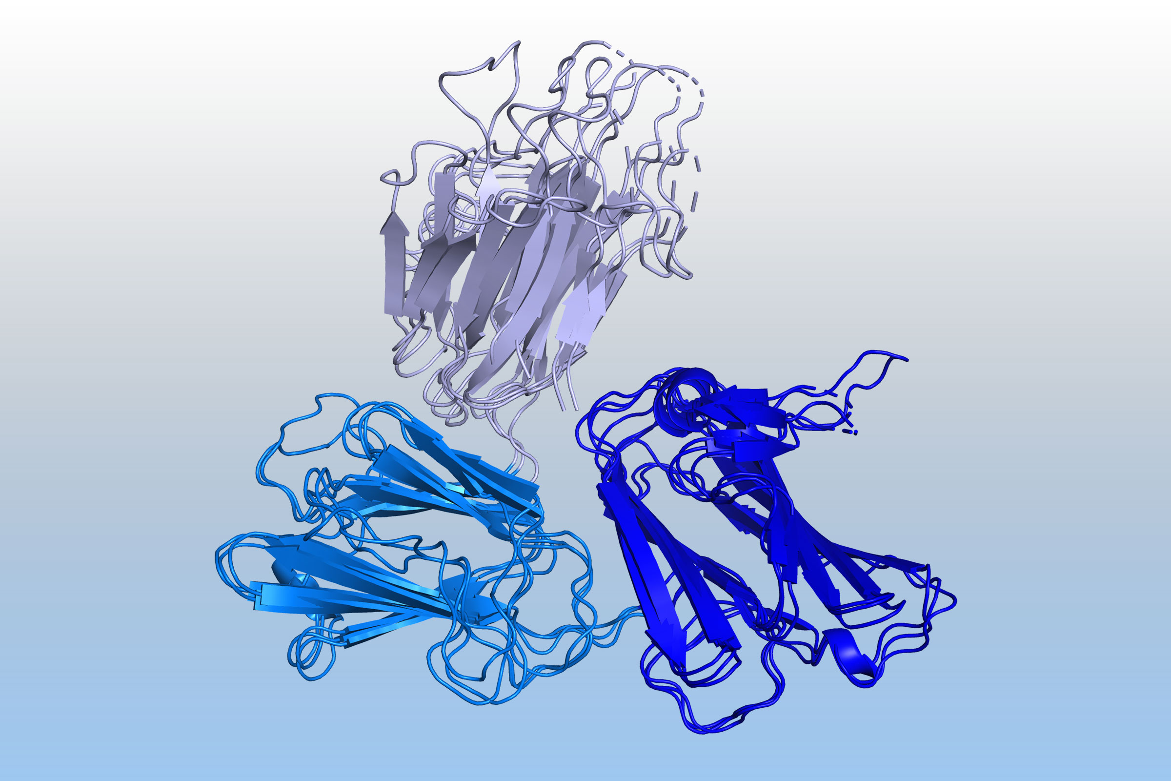 Protein Pfs48/45, a crucial part of the malaria parasite that eluded scientists until DeepMind’s AlphaFold was able to predict its 3D structure
