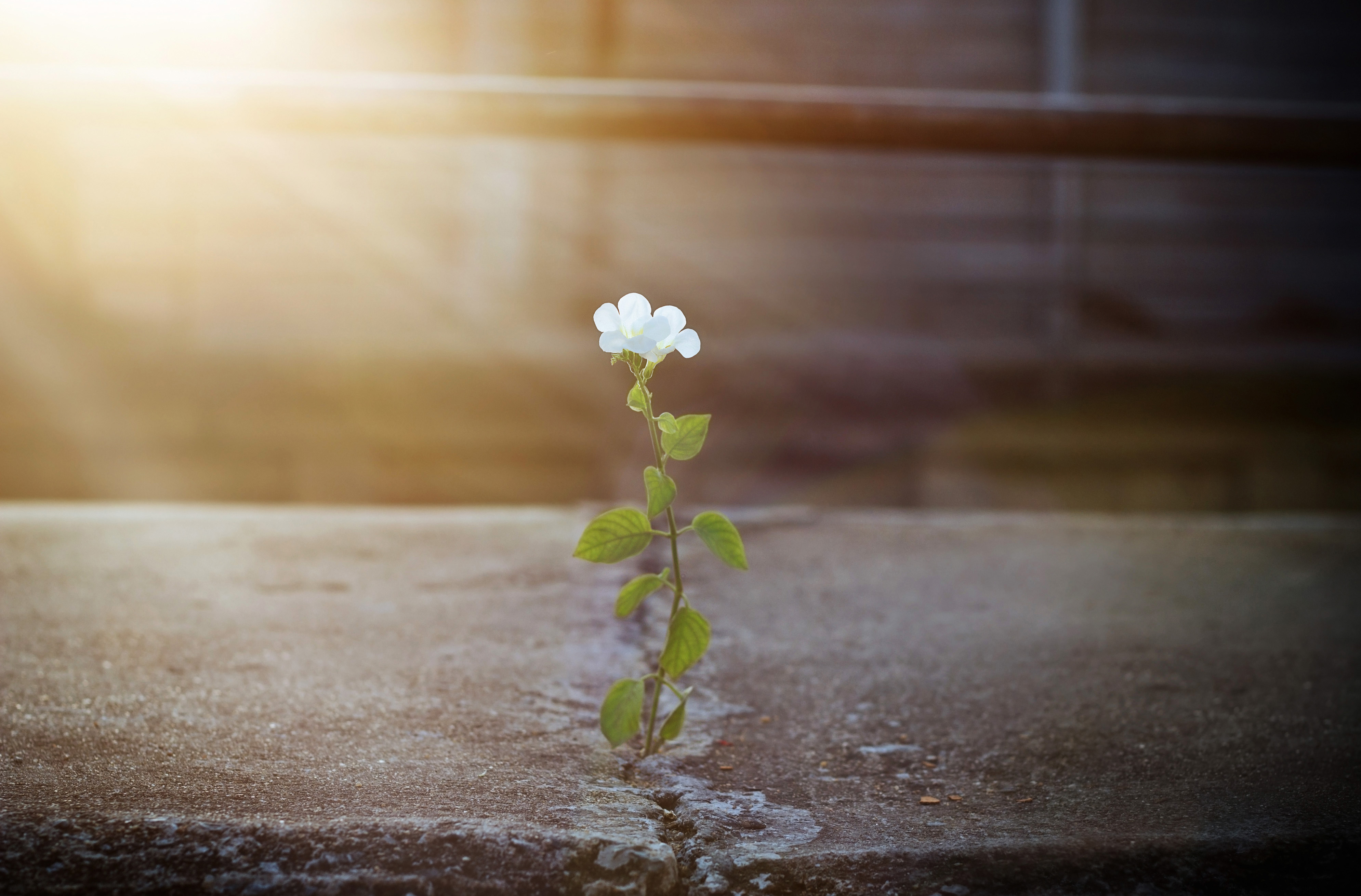 How-to-Be-More-Optimistic
