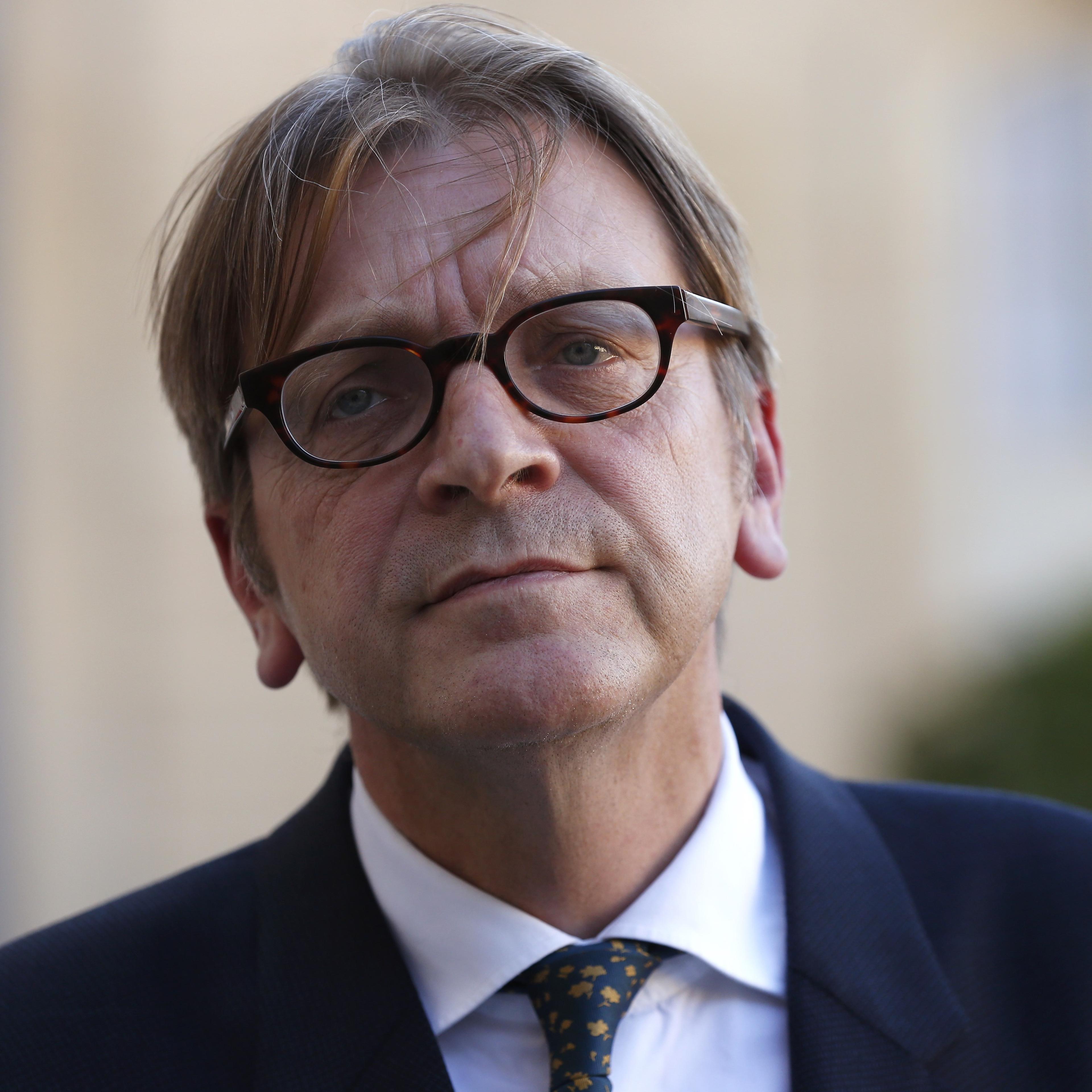 Guy Verhofstadt, Belgian member of the European Parliament, leader of the Alliance of liberals and Democrats for Europe (ALDE) group, and former Belgium prime minister, speaks to journalists after a meeting with French President at the Elysee Presidentia