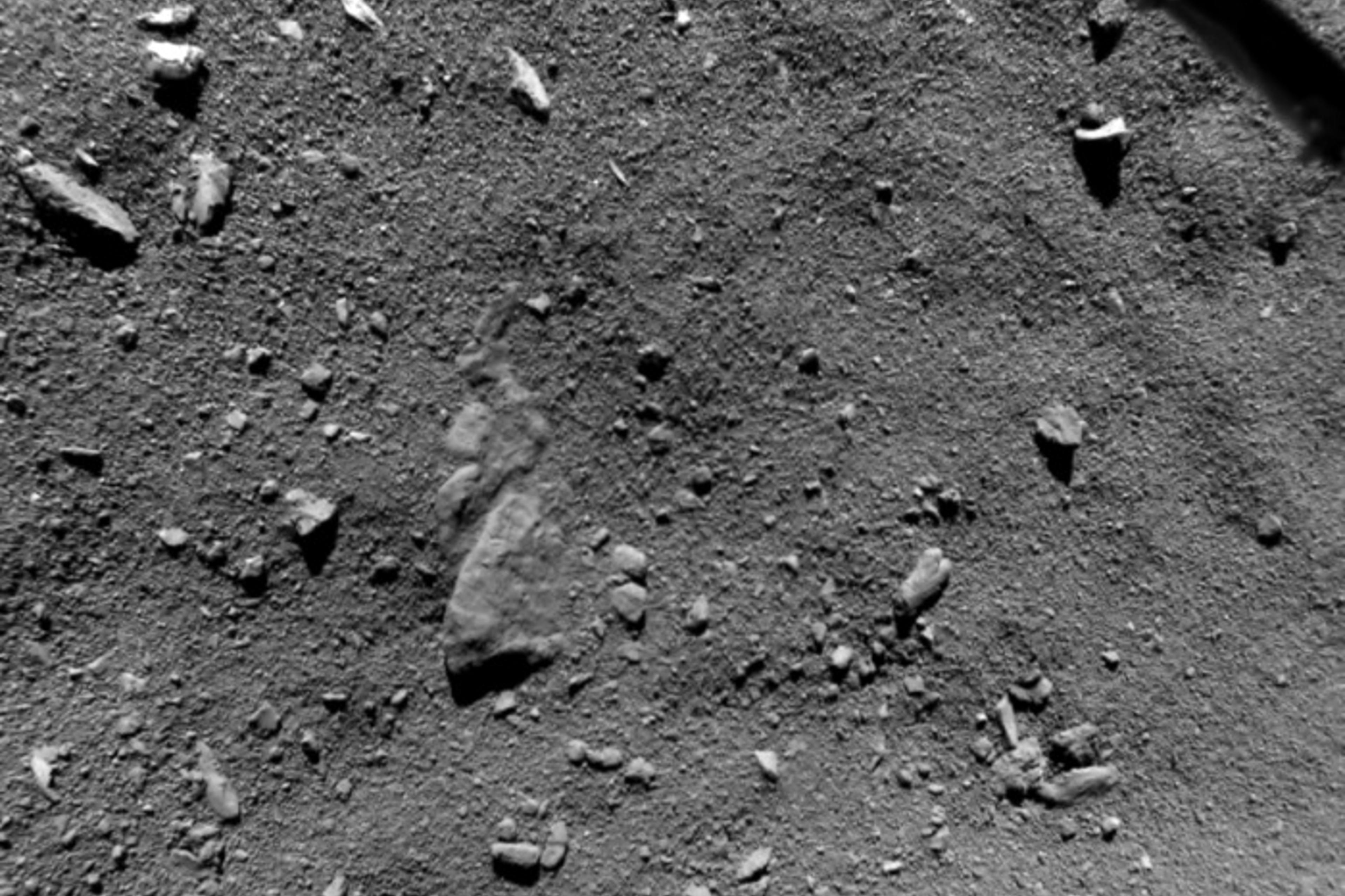 Anyone home? Philae's landing site on Comet P67