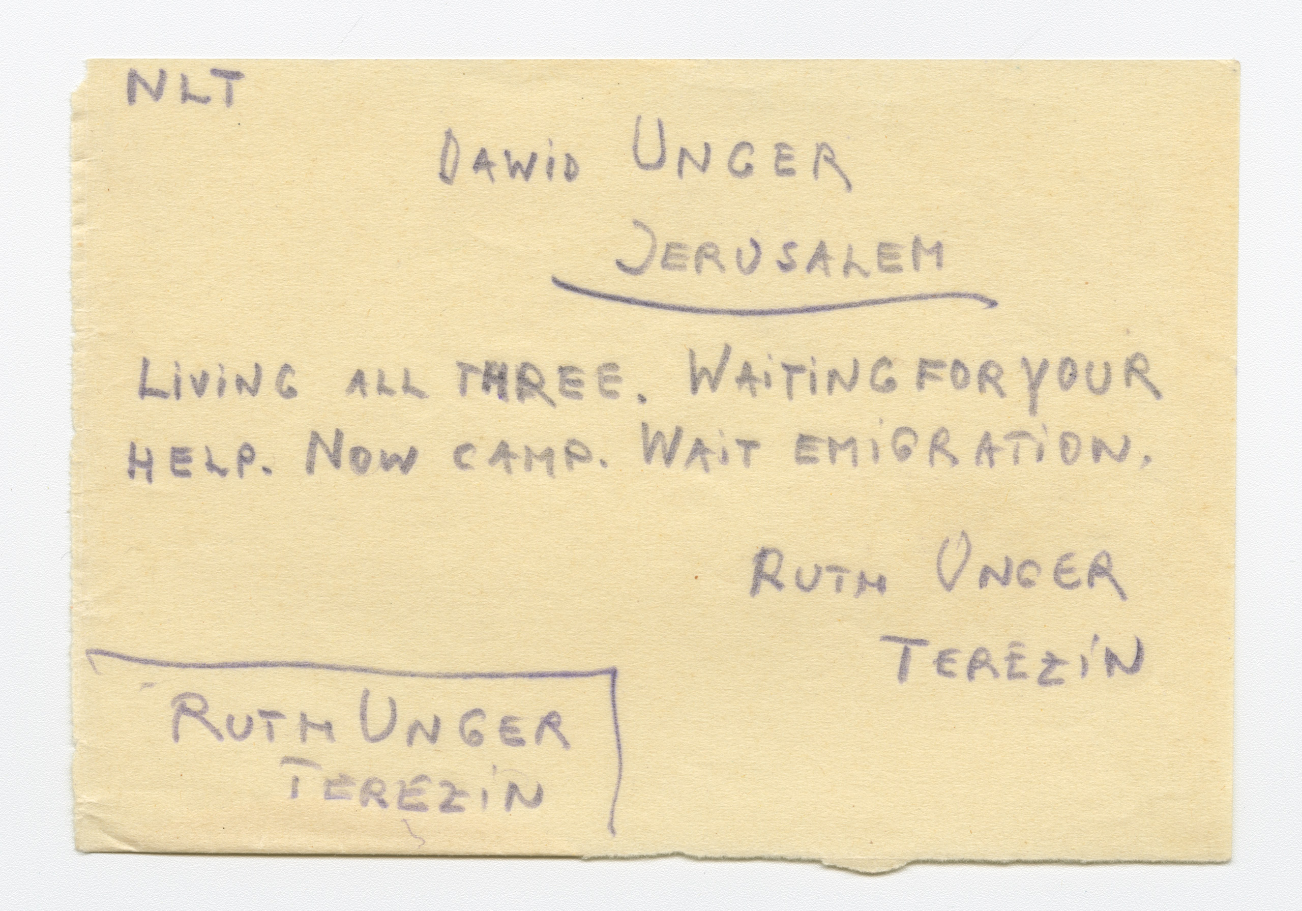 Draft telegram sent by survivors seeking information and assistance.