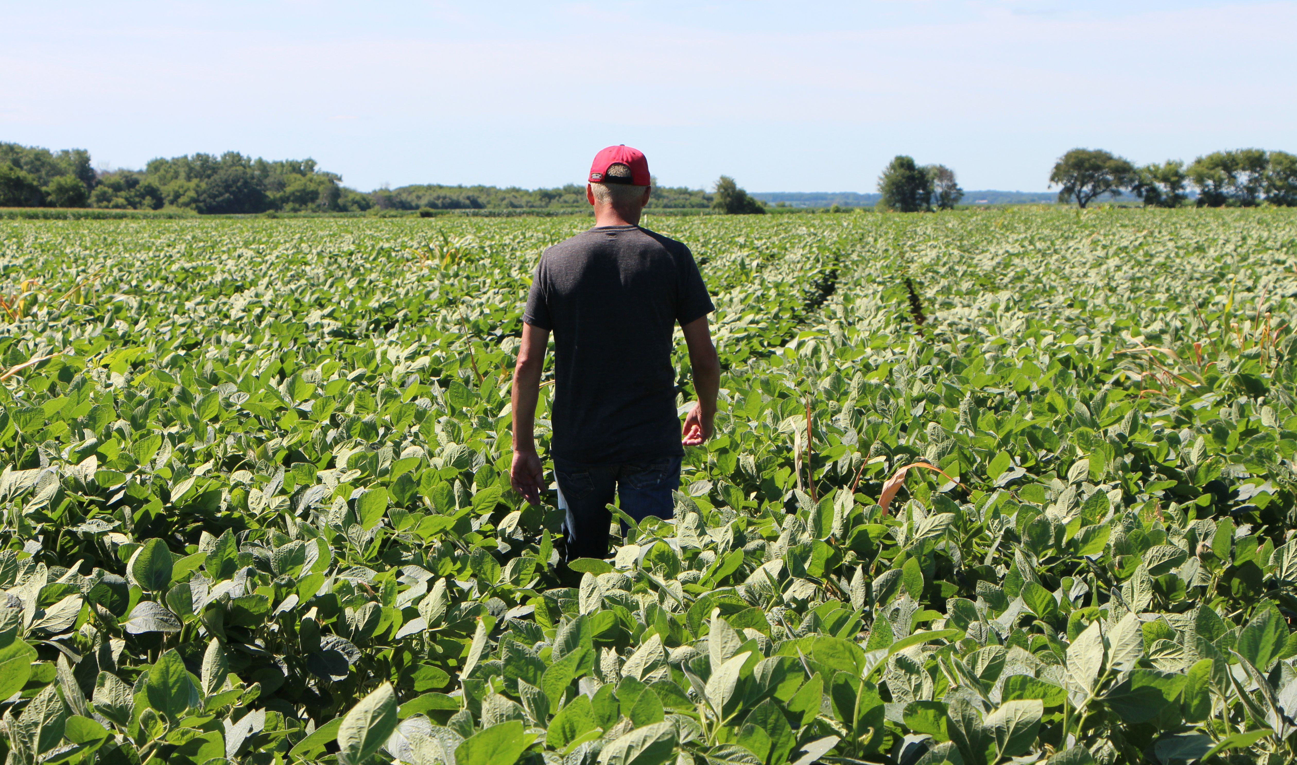 US-CHINA-TRADE-TARIFF-POLITICS-FARMS