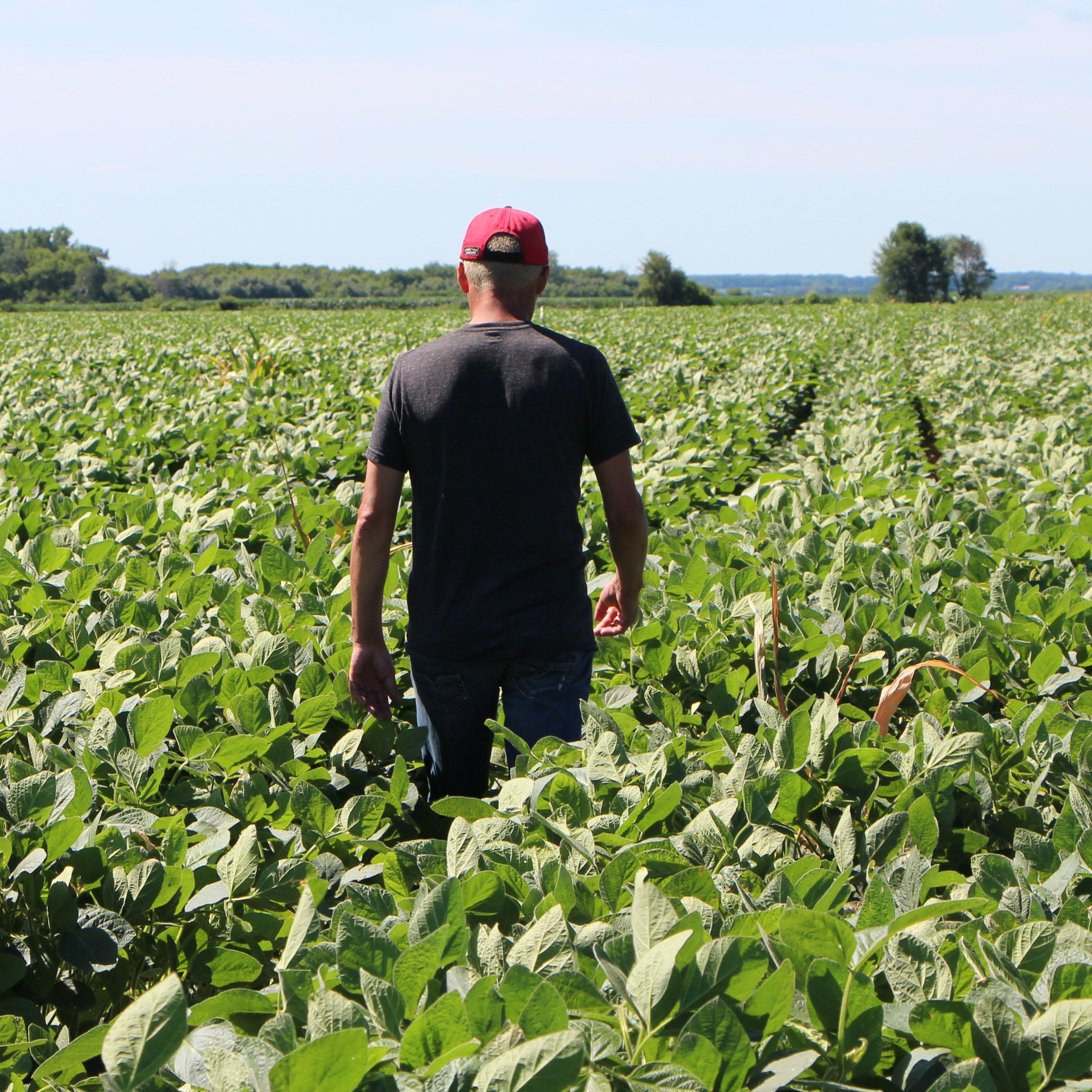 US-CHINA-TRADE-TARIFF-POLITICS-FARMS