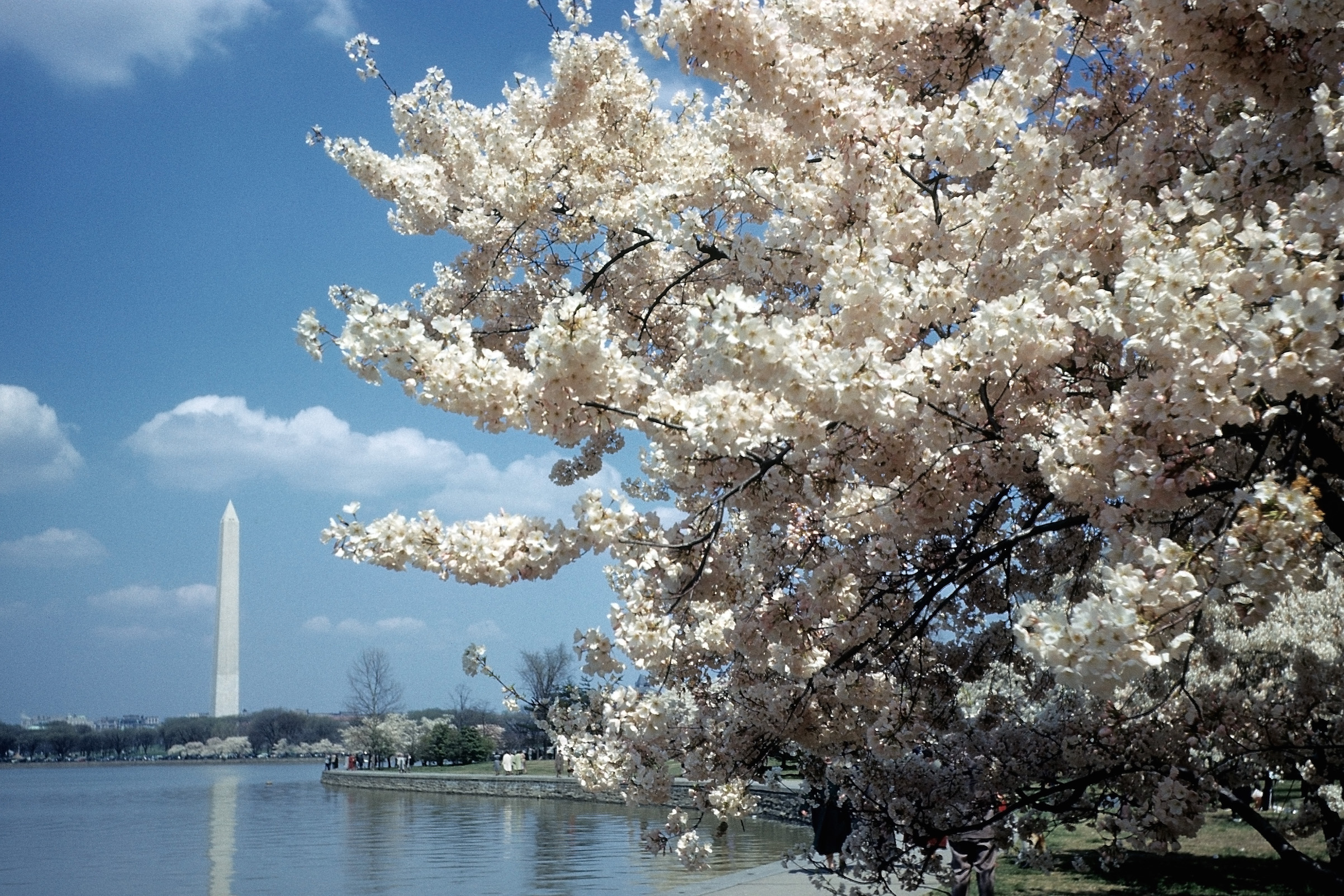 WASHINGTON D.C.