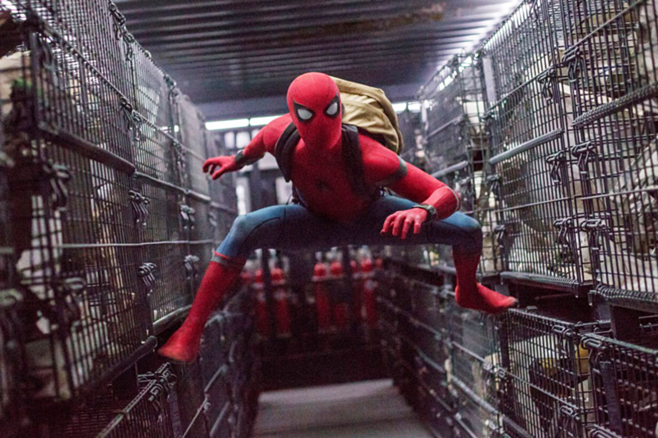 Tom Holland