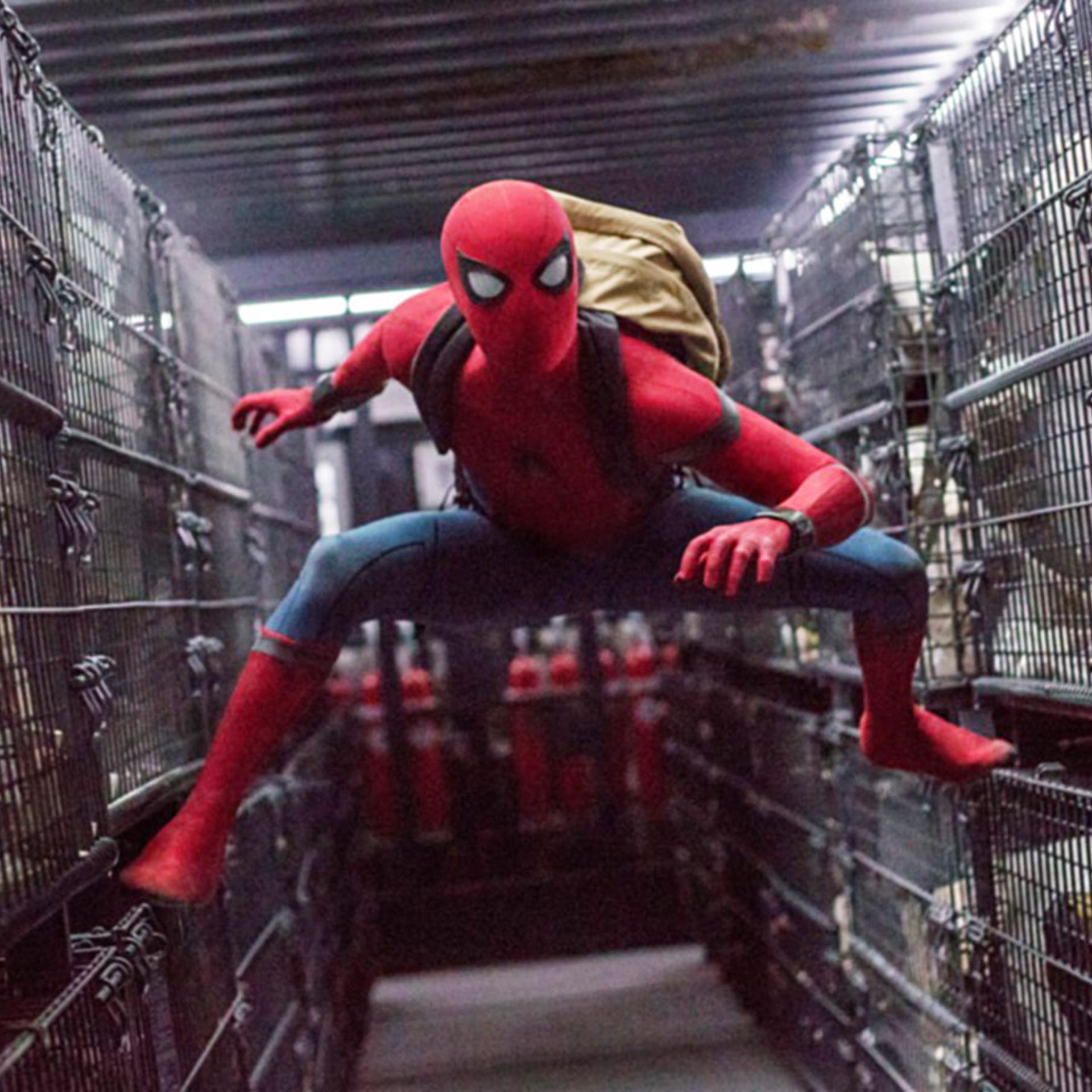 Tom Holland