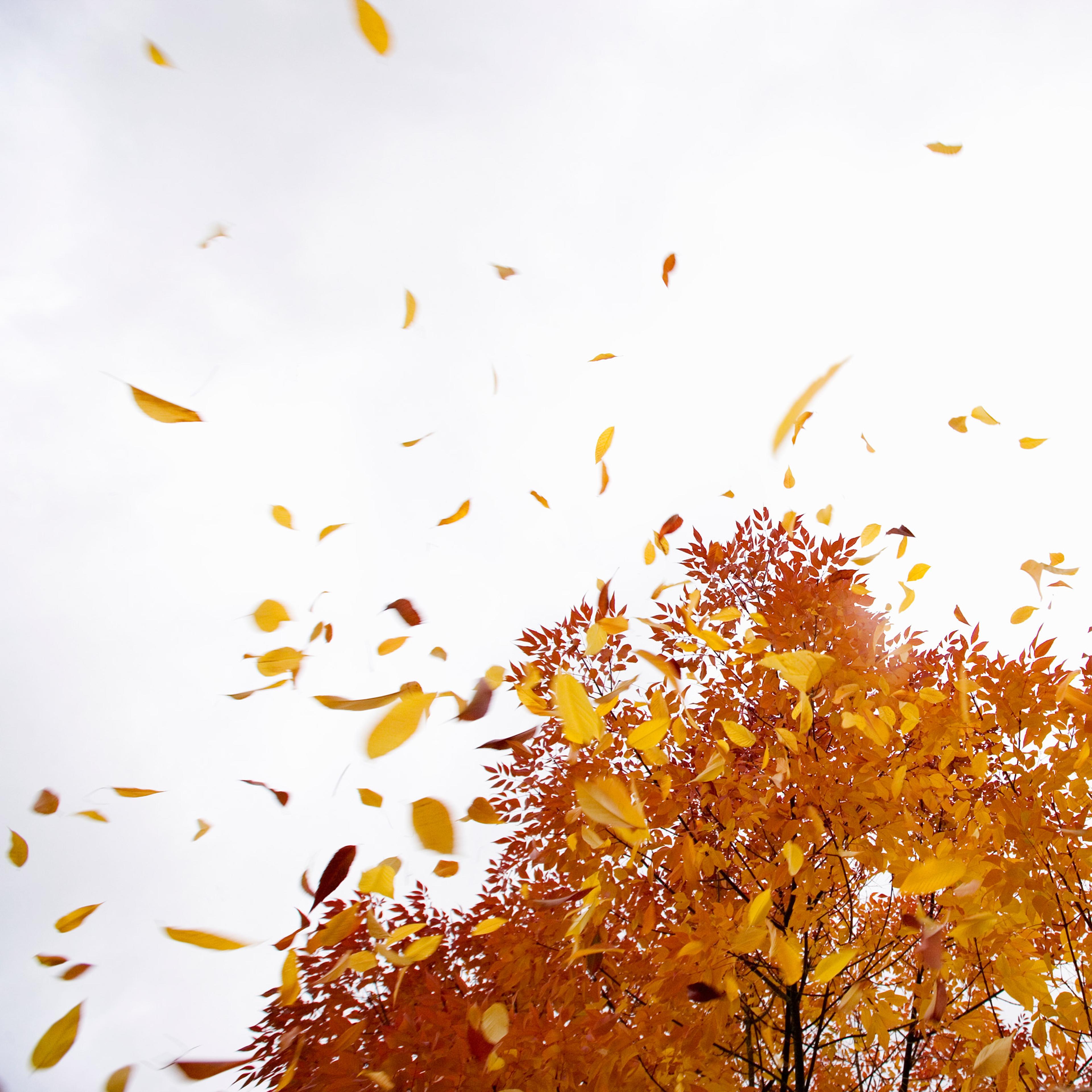 First Day of Fall