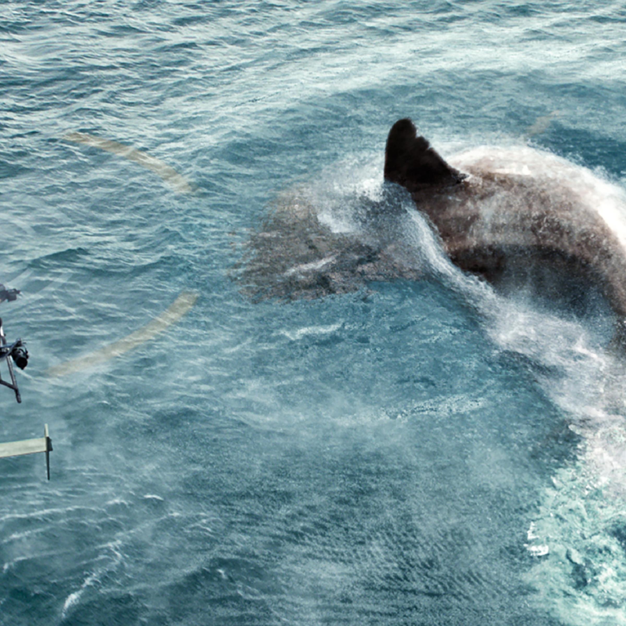 the-meg-film-summer-horror-jason-stathem