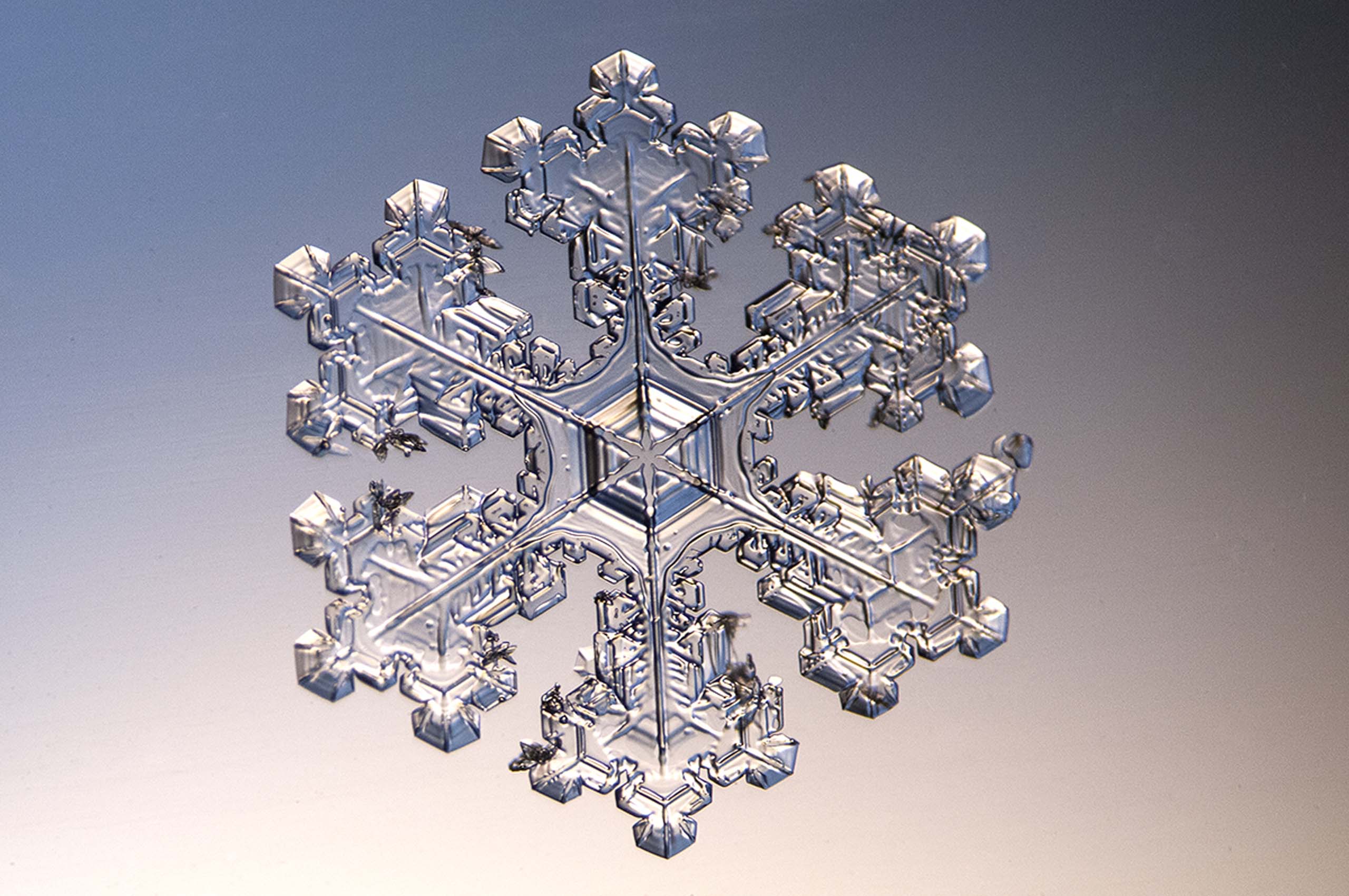 Get Up Close and Personal with Beautiful Snowflakes