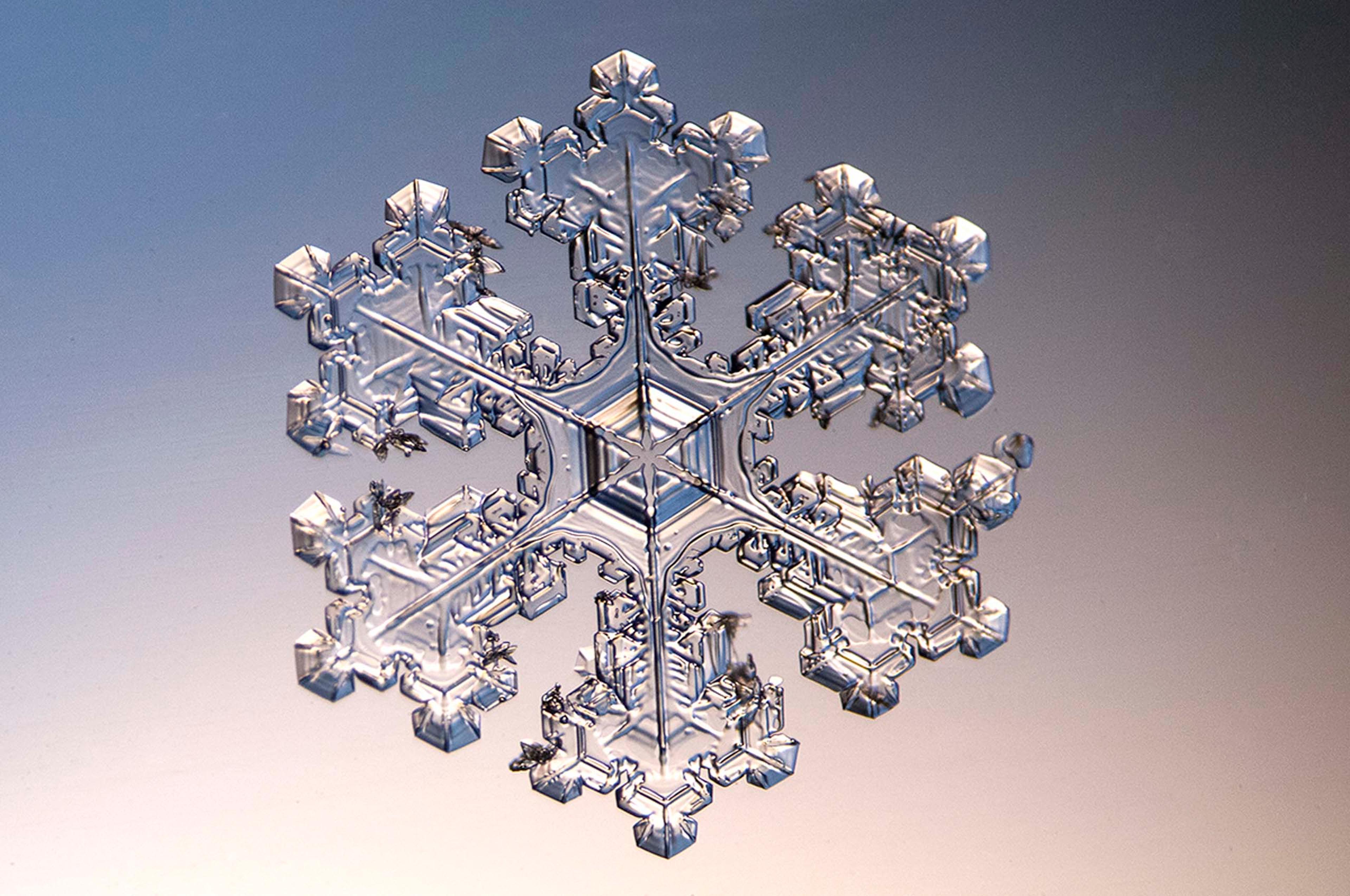 Snowflapes Get Up Close and Personal with Beautiful Snowflakes