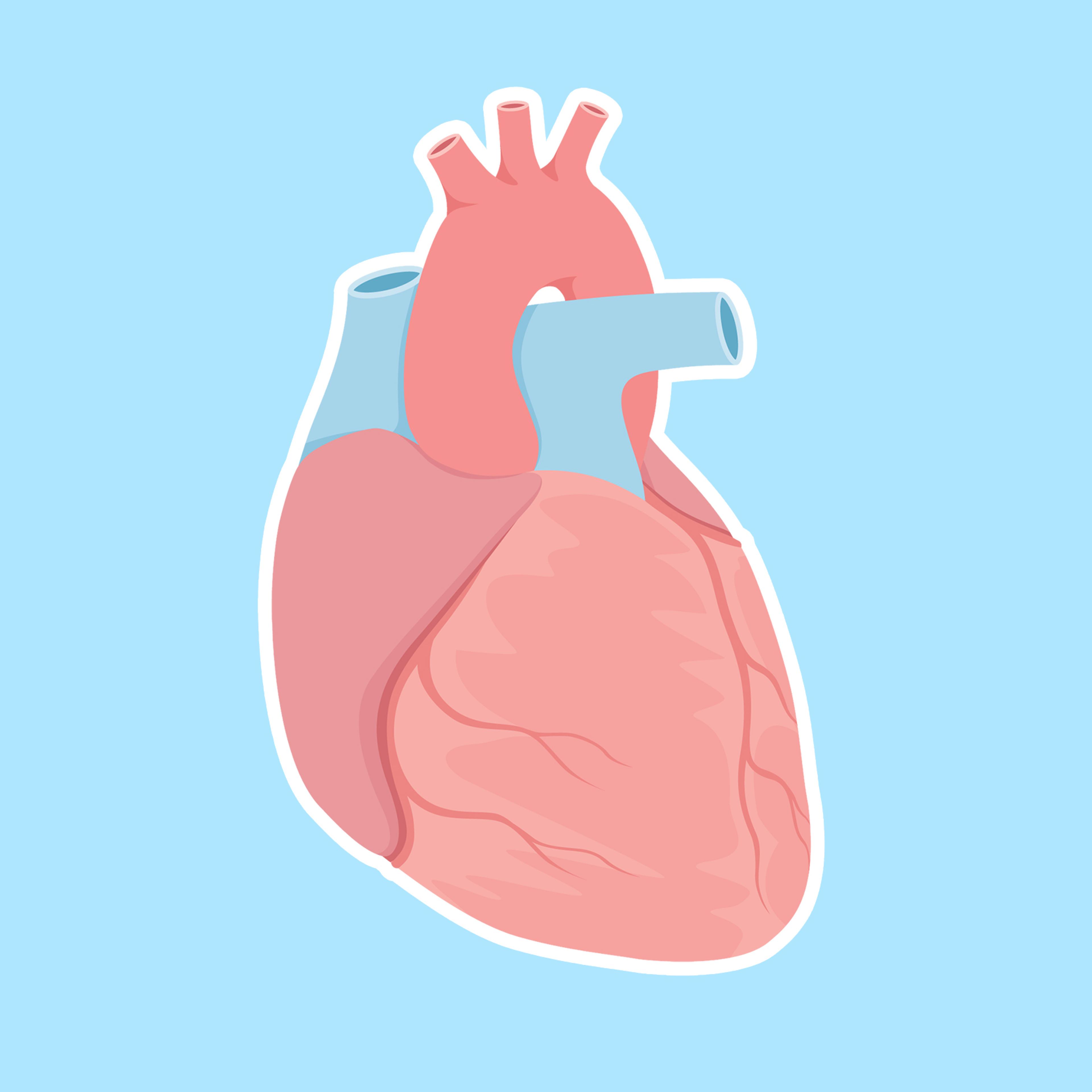 Science of a Broken Heart: How Loss Takes a Toll