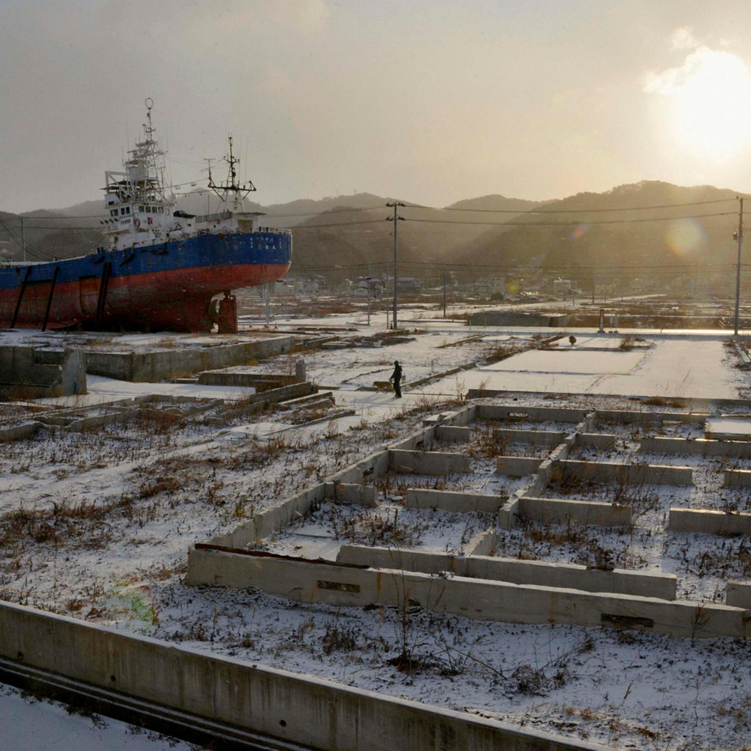 Local resident and a dog walk near a ship brought ashore by the March 11, 2011 tsunami and earthquake in Kesennuma, Miyagi Prefecture