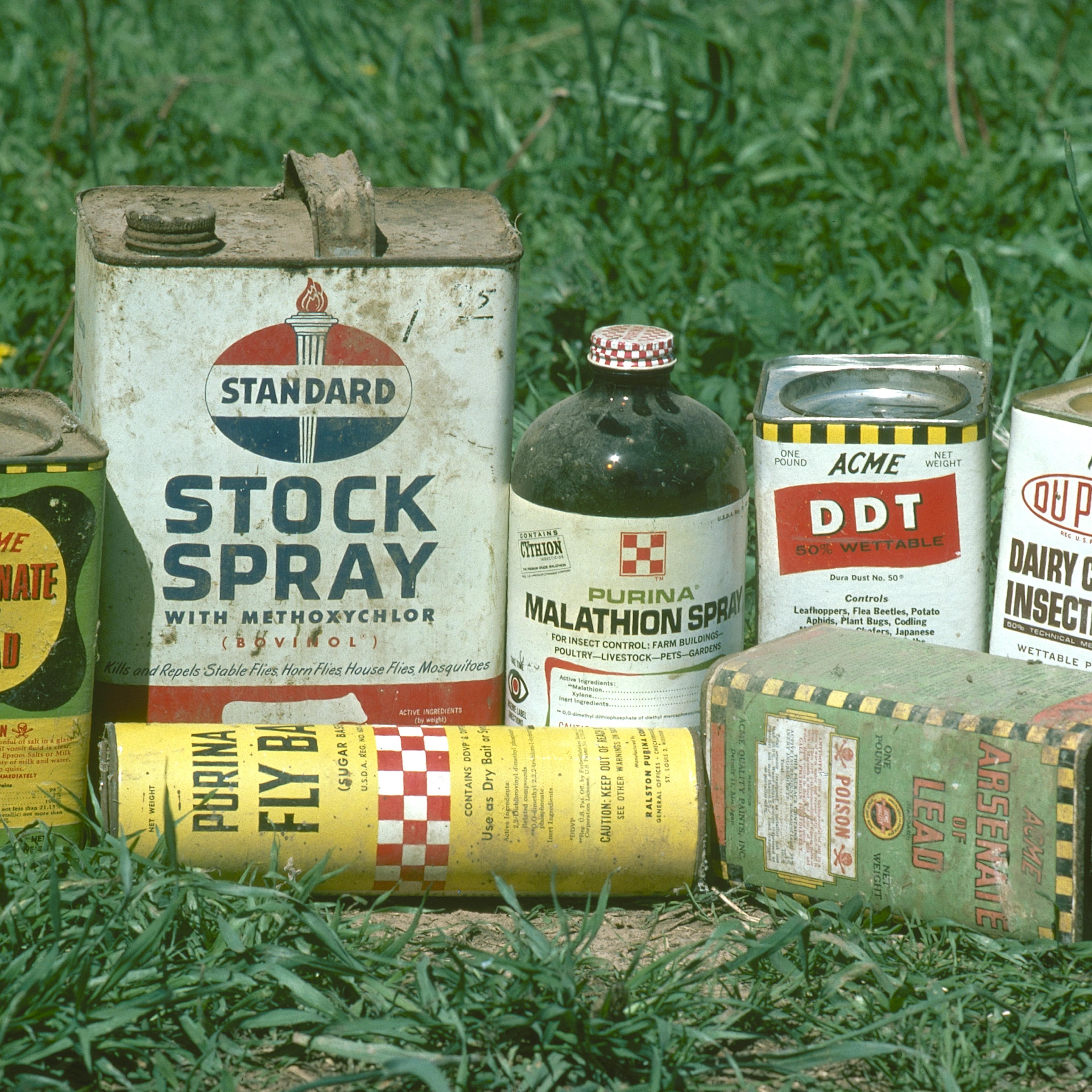 DDT Pesticide