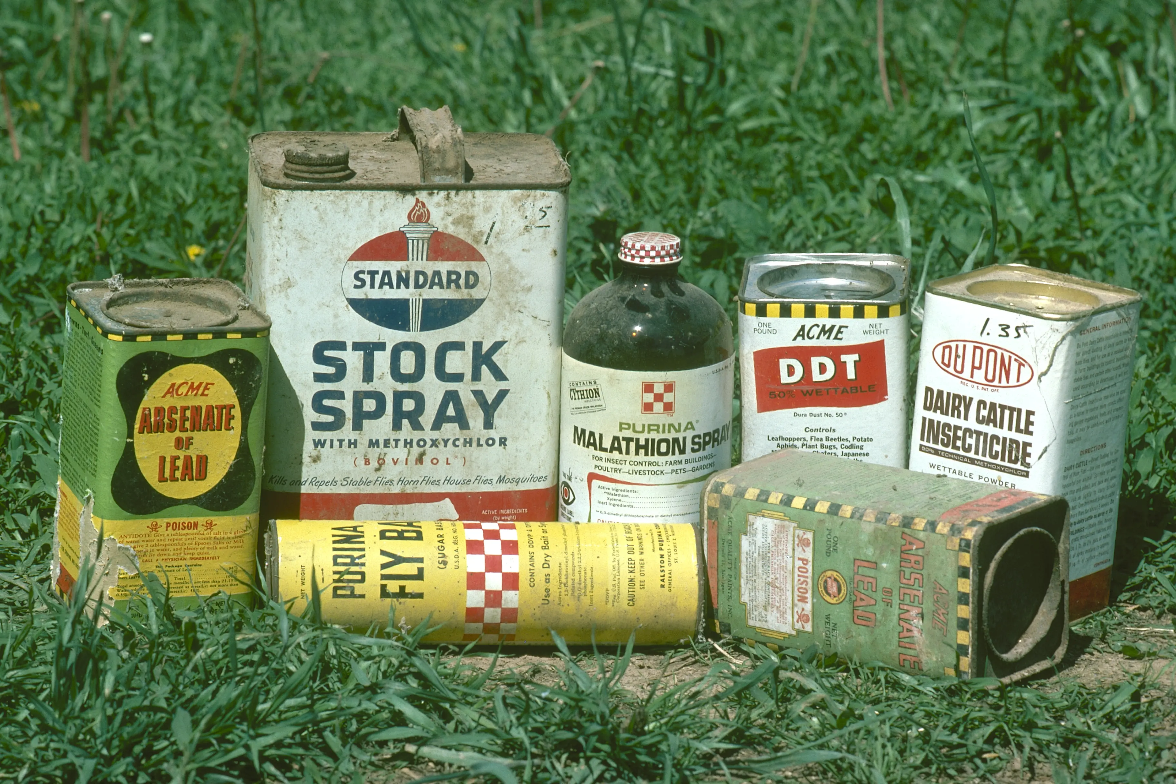 ddt in cigarettes How went from triumph to tragedy | Feature Smoke Free Herbal Cocoa Cigarettes