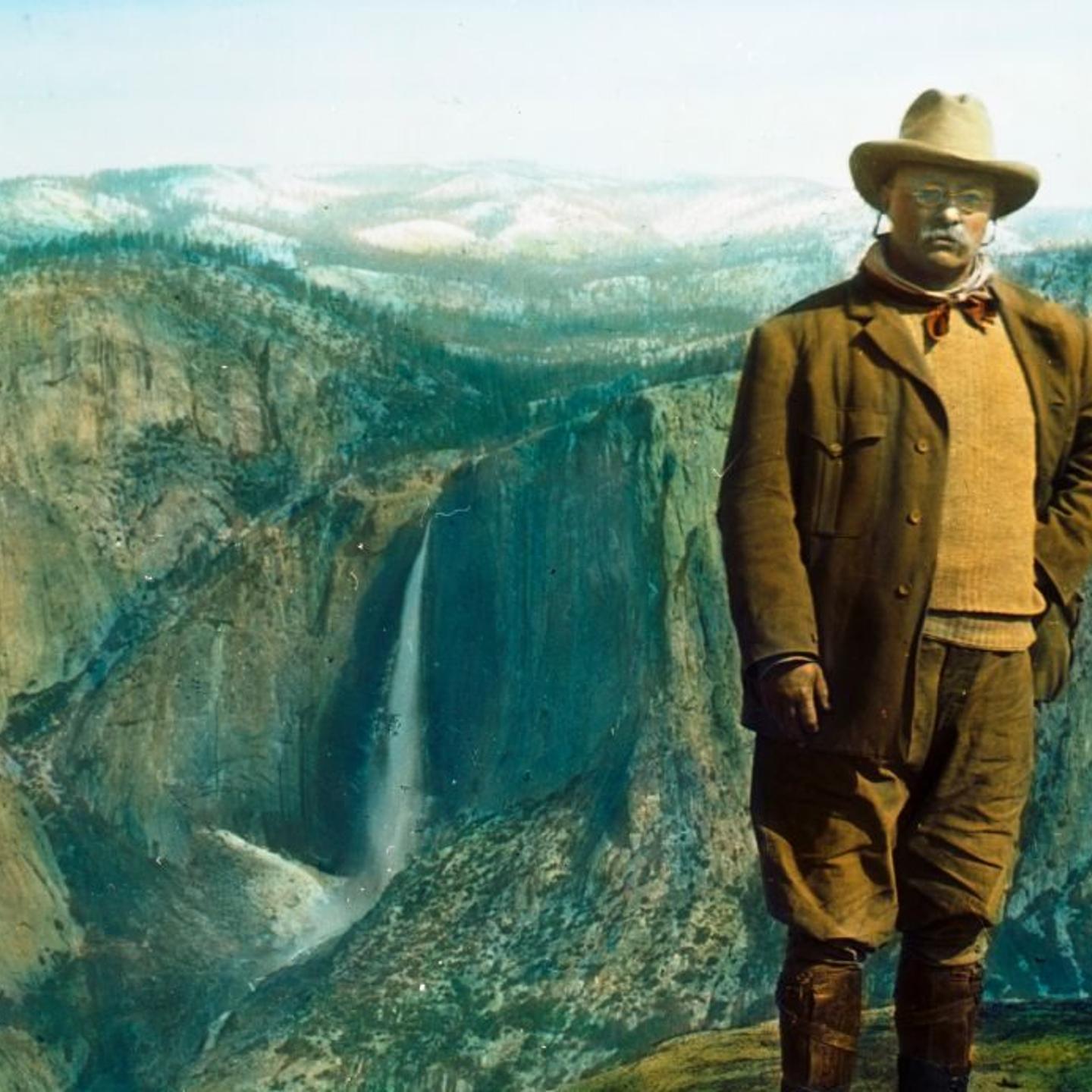 President Roosevelt In Yosemite