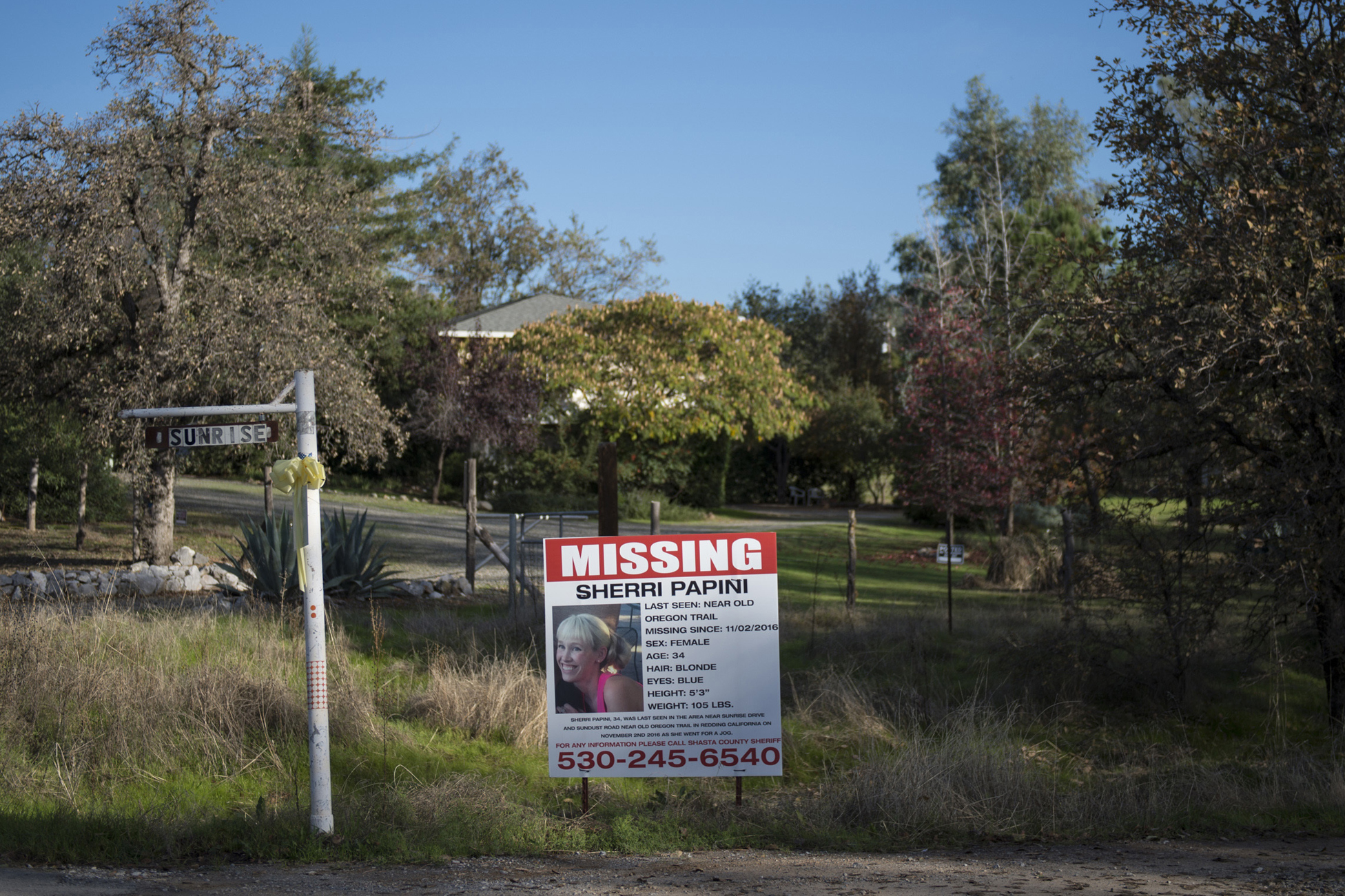 Missing Woman Northern California