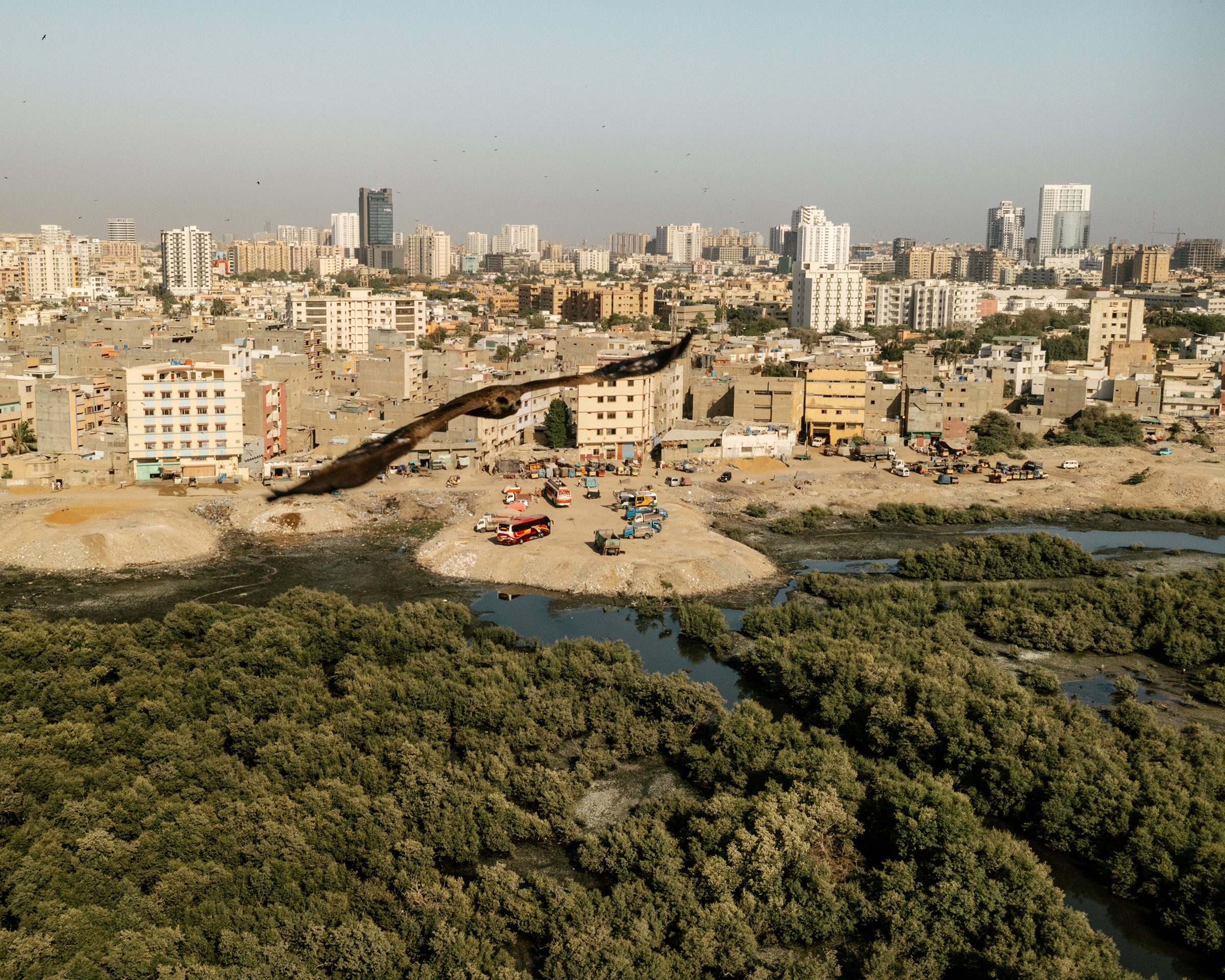 In Karachi, development is encroaching on mangroves, which have long protected the city from the impacts of climate change 