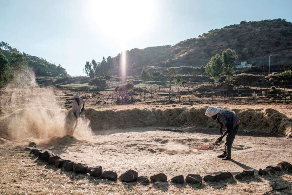 ETHIOPIA-AGRICULTURE-DAILY LIFE