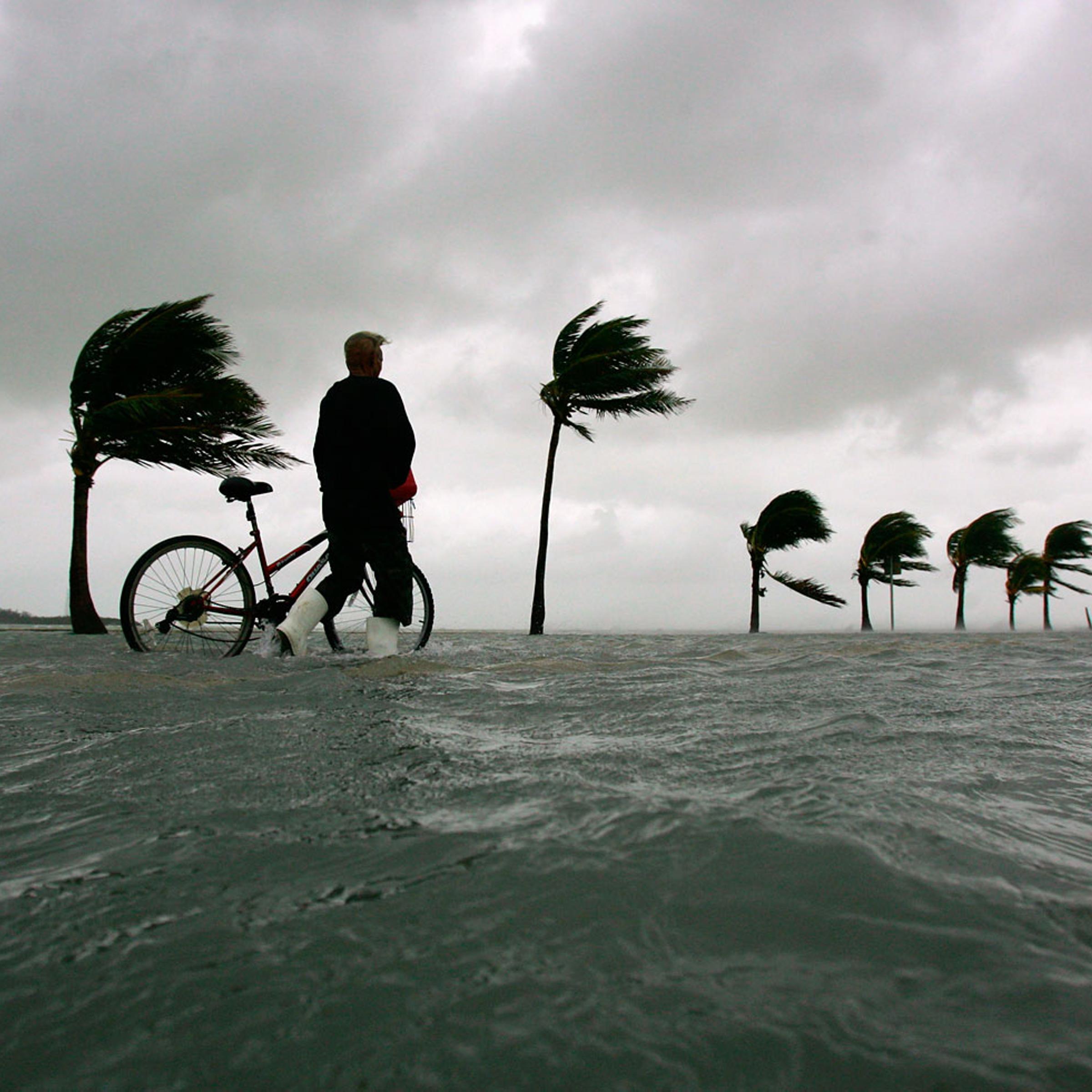 Florida's southern west coast after Hurricane Wilma on October 24, 2005.
