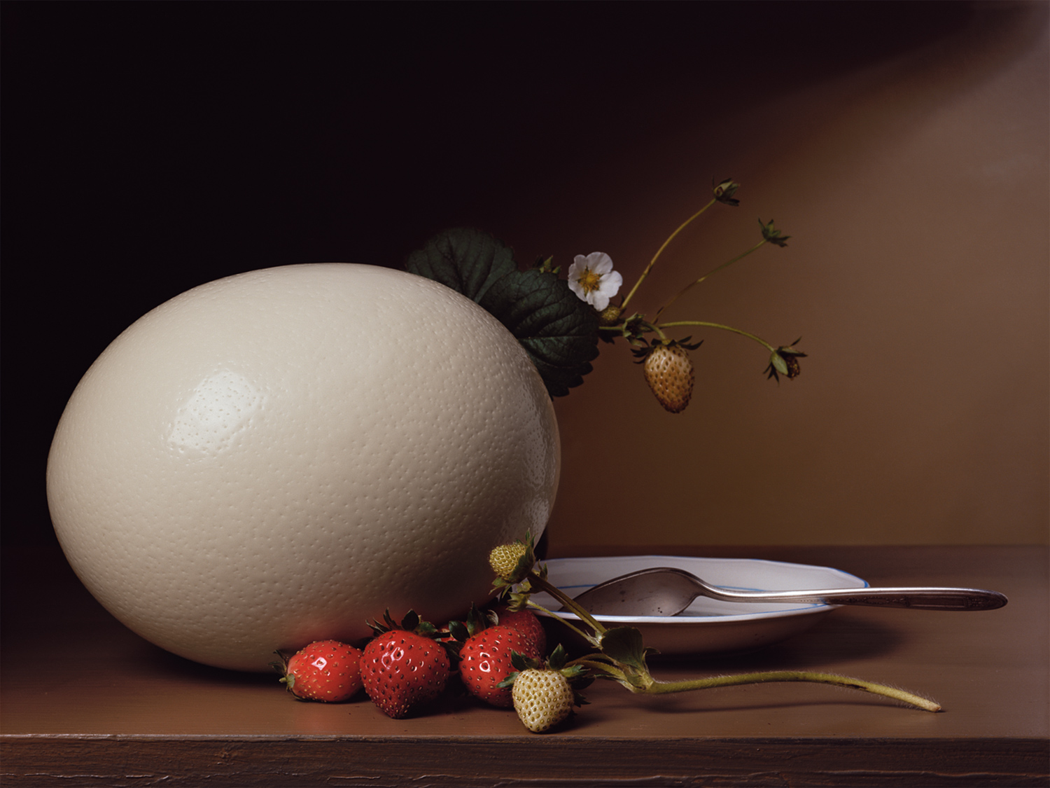 Plate 1 - Strawberries and Ostrich Egg