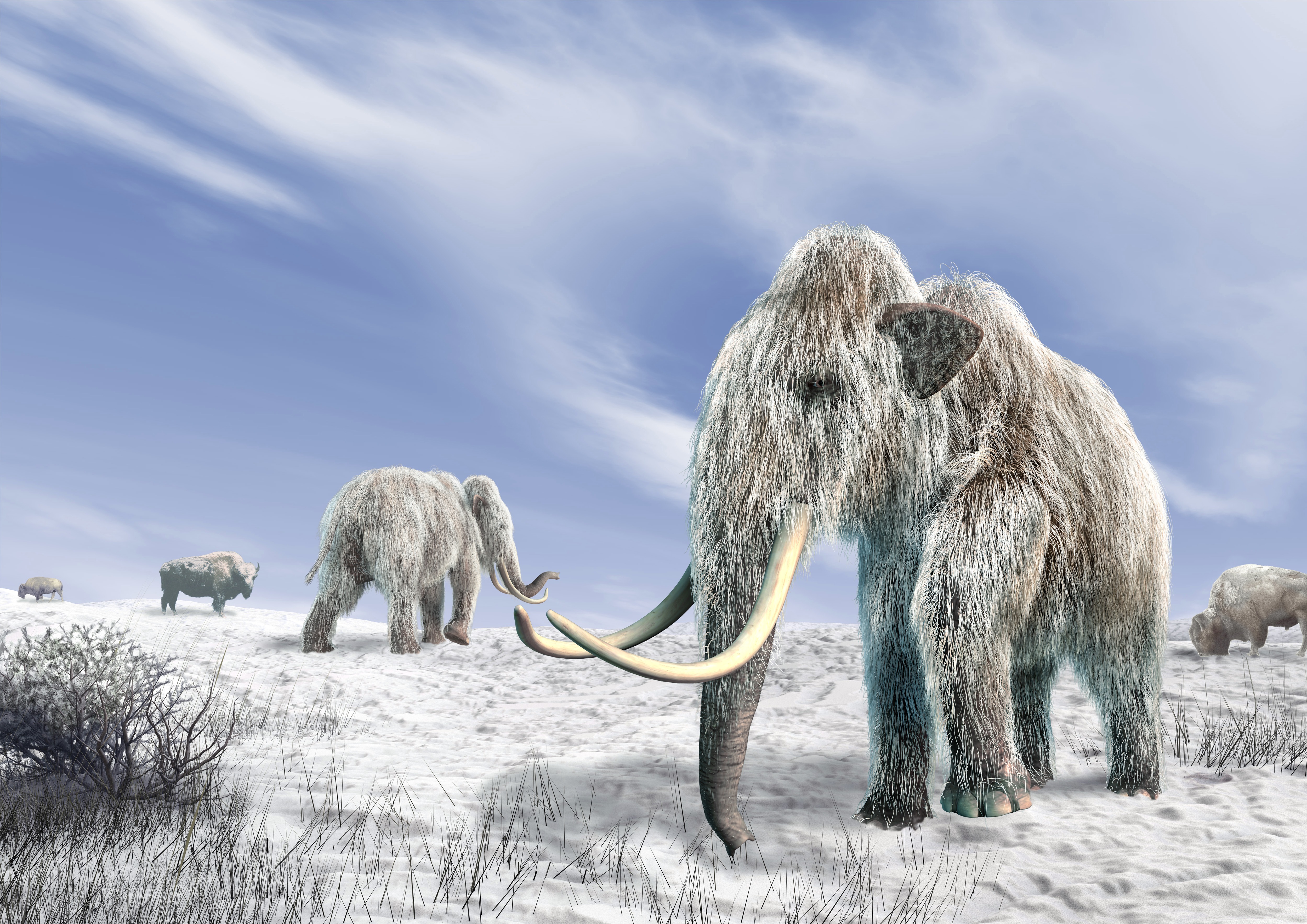 The Woolly Mammoth’s Comeback Is Taking Longer Than Expected