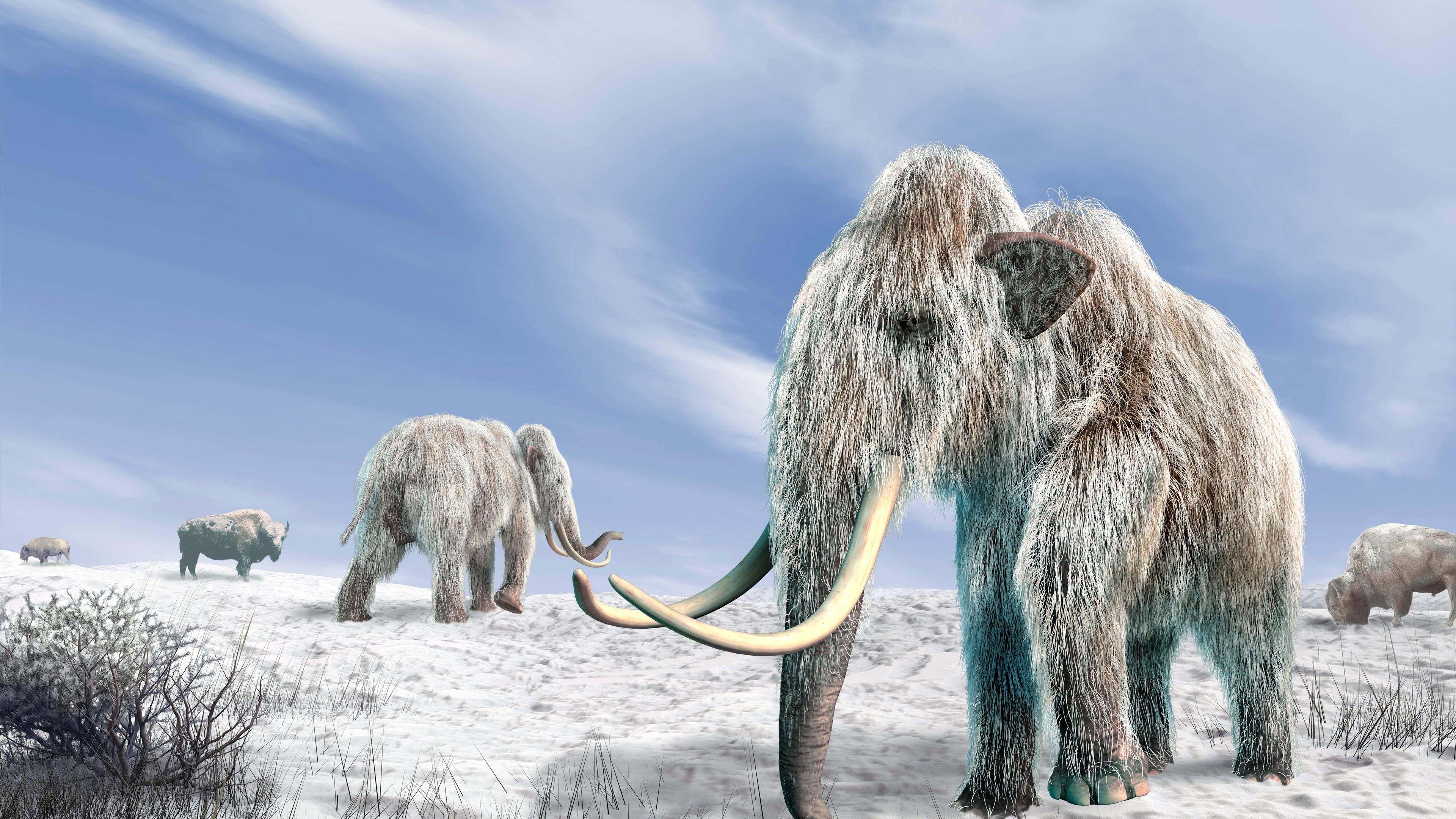 The Woolly Mammoth's Comeback Is Taking Longer Than Expected