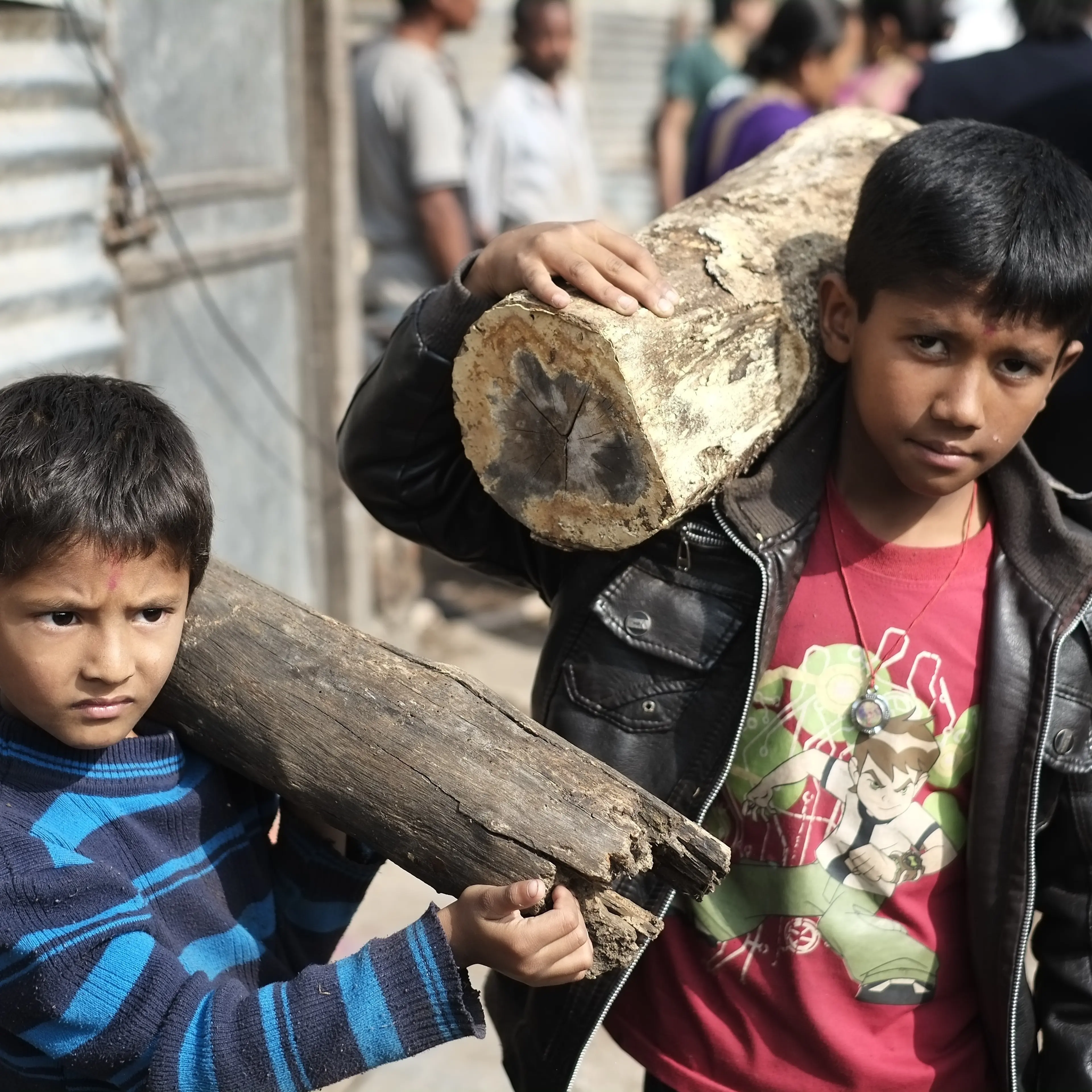 Nepalese government sells firewood to public to ease fuel crisis
