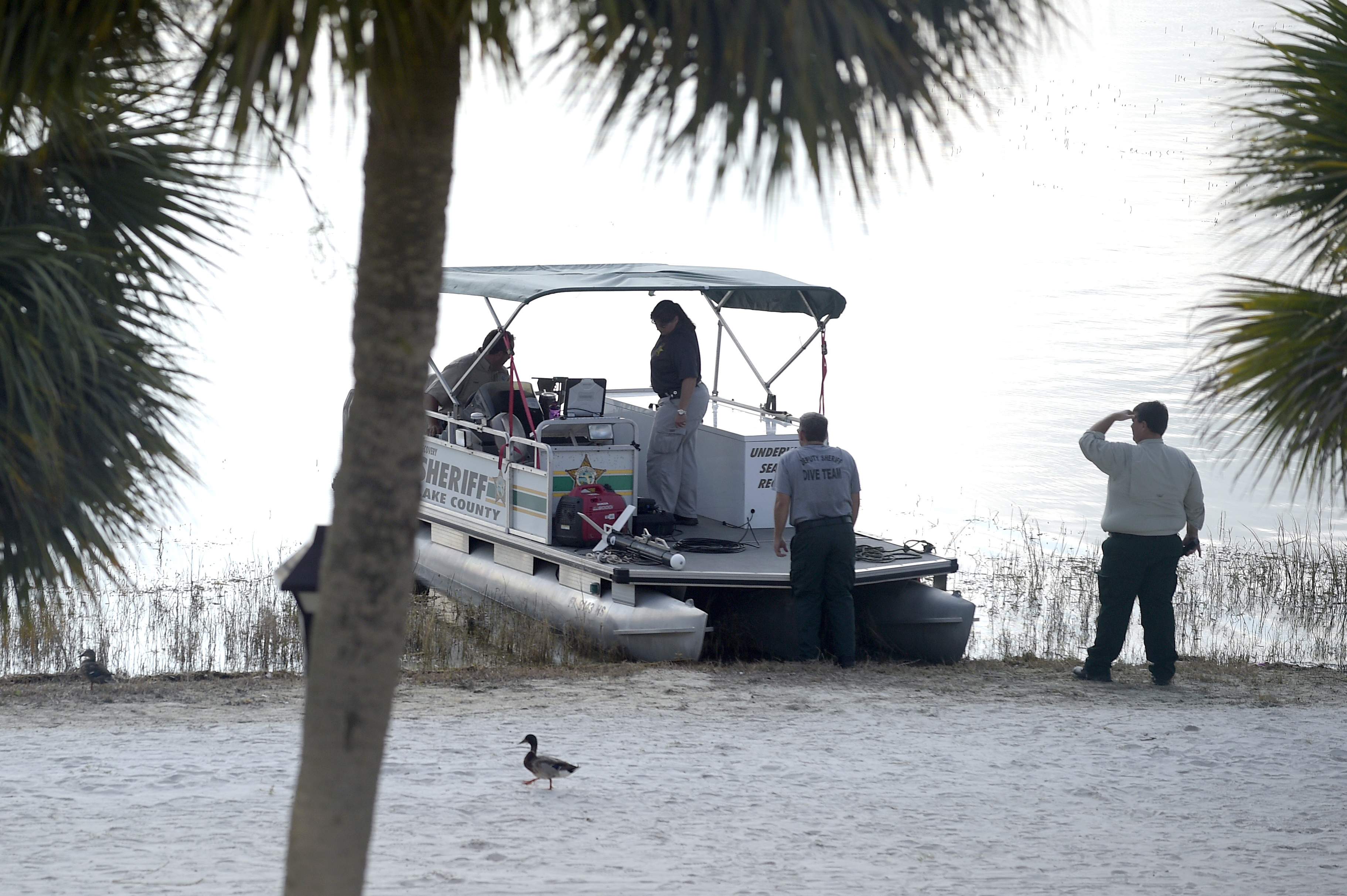 Alligator Drags Toddler