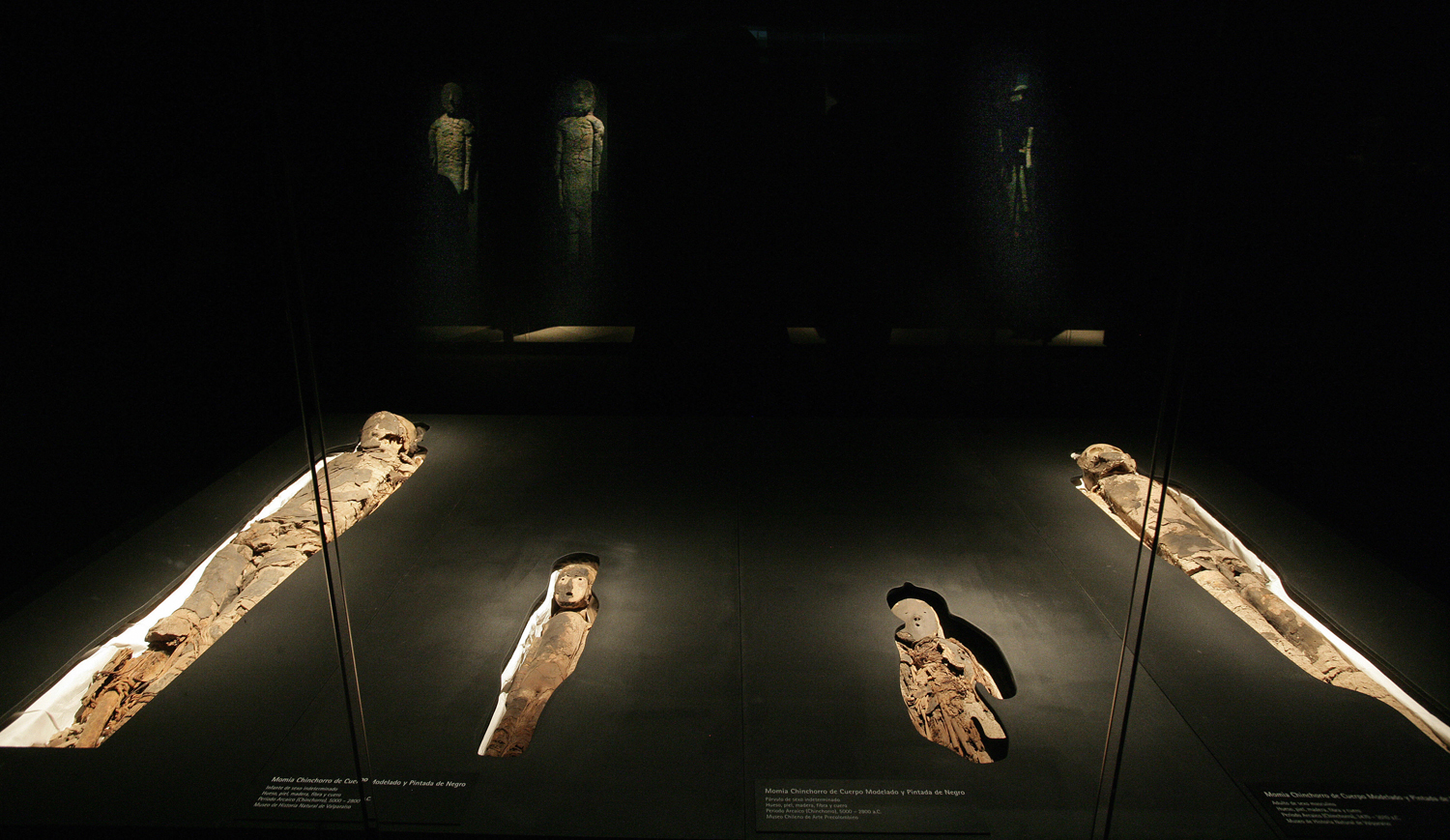 A group of Chinchorro mummies -dated bet