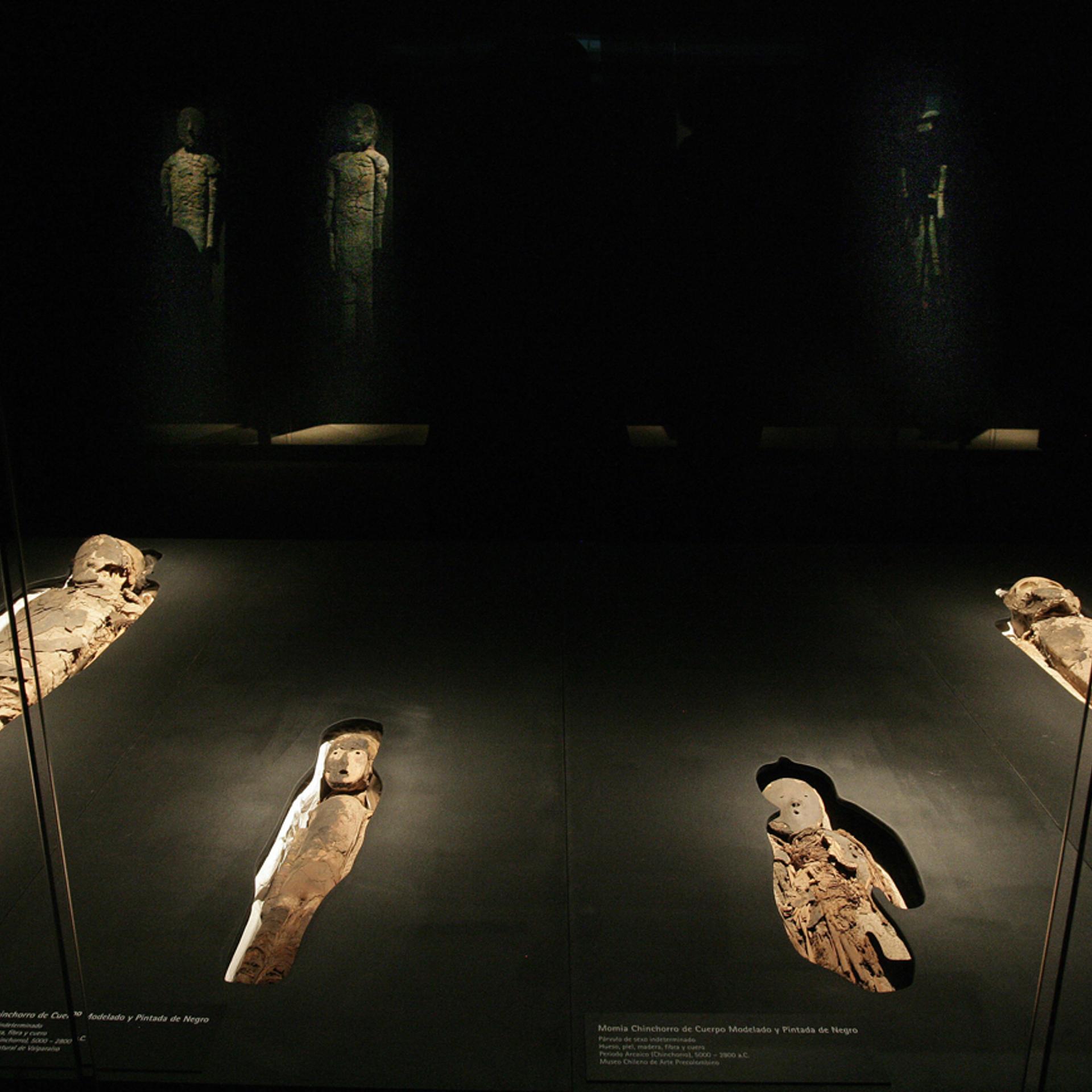 A group of Chinchorro mummies -dated bet