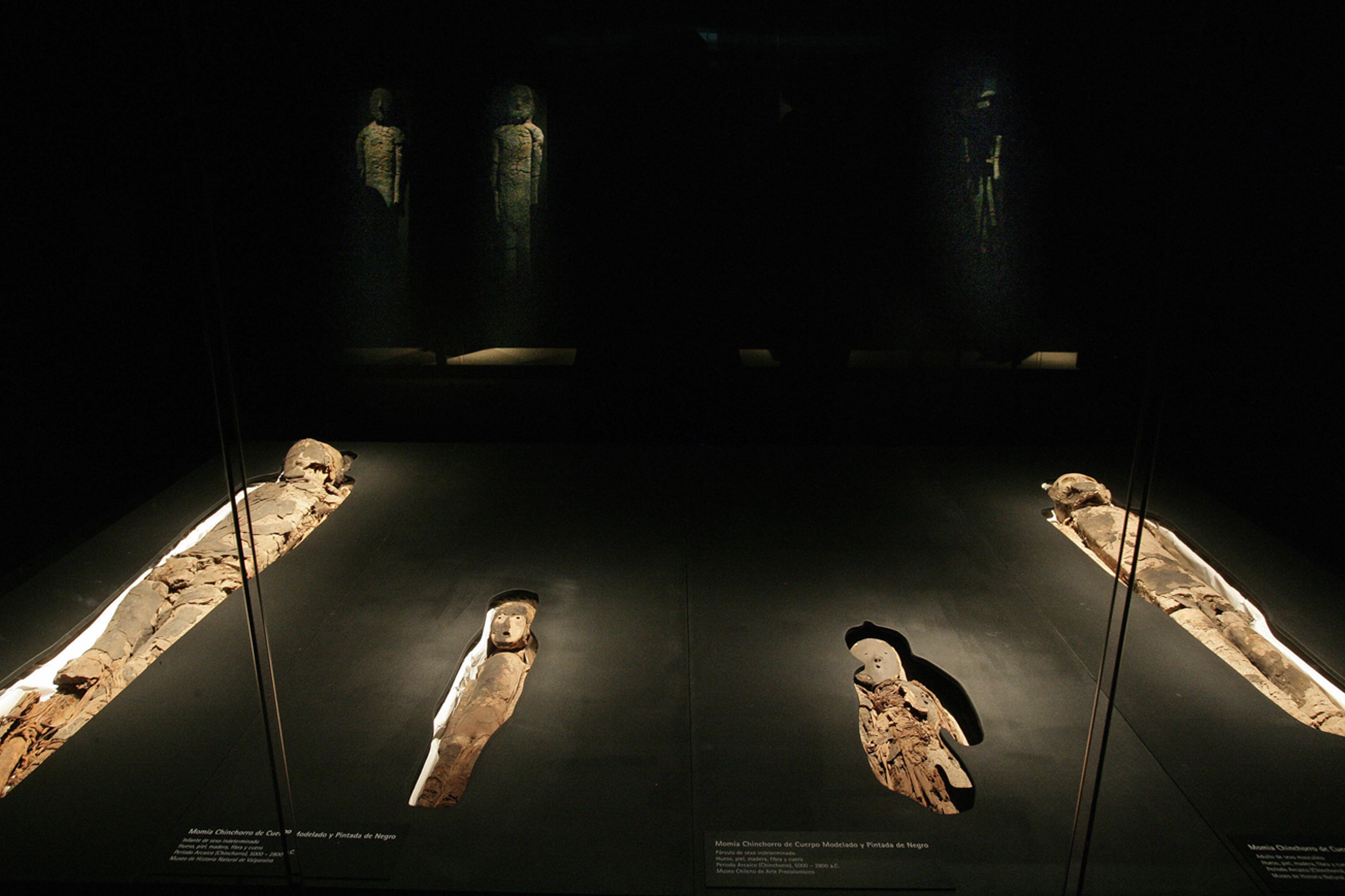 A group of Chinchorro mummies -dated bet