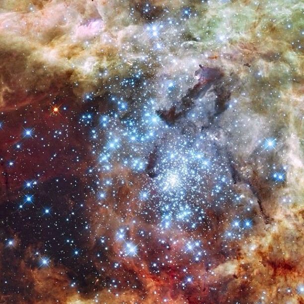 NASA Goddard Instagram