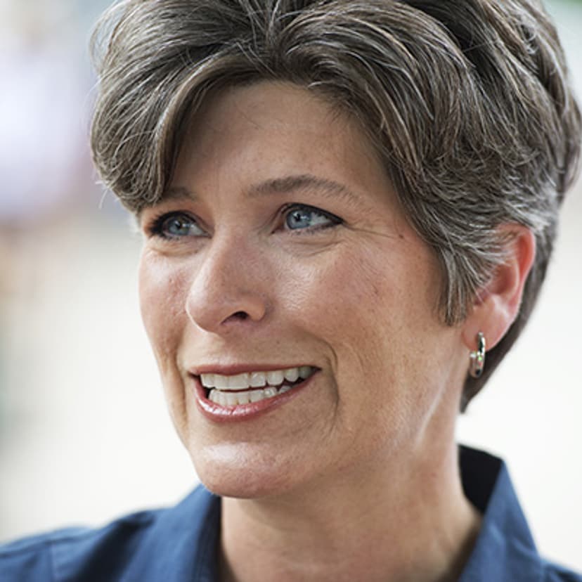 Iowa Republican Senate candidate Joni Ernst campaigns at the 2014 Iowa State Fair in Des Moines, Iowa on Aug. 8, 2014.