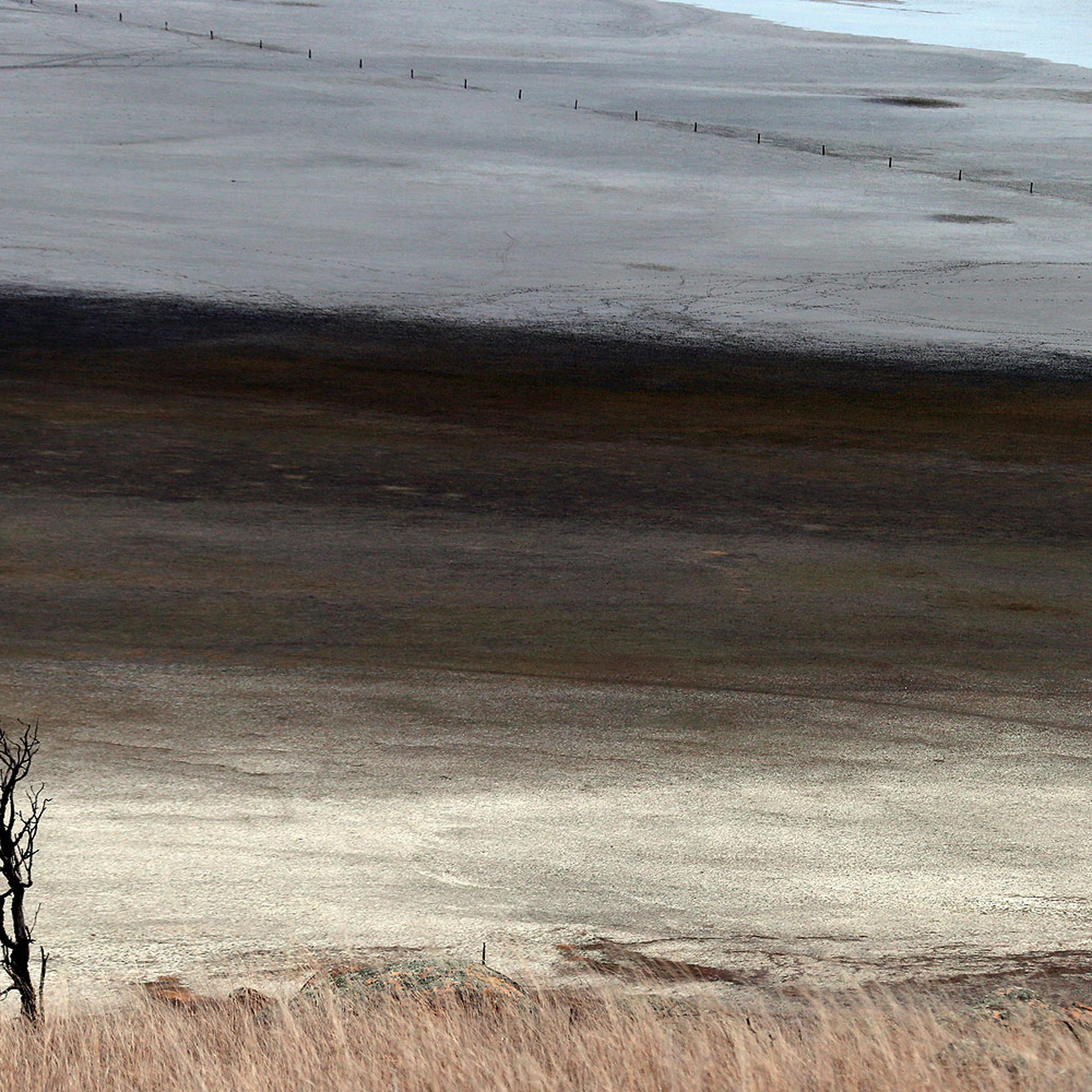 A dead tree stands in front of shallow water and a dried-up area of Lake George, located 50 km (31 miles) north of the Australian capital city of Canberra May 13, 2013
