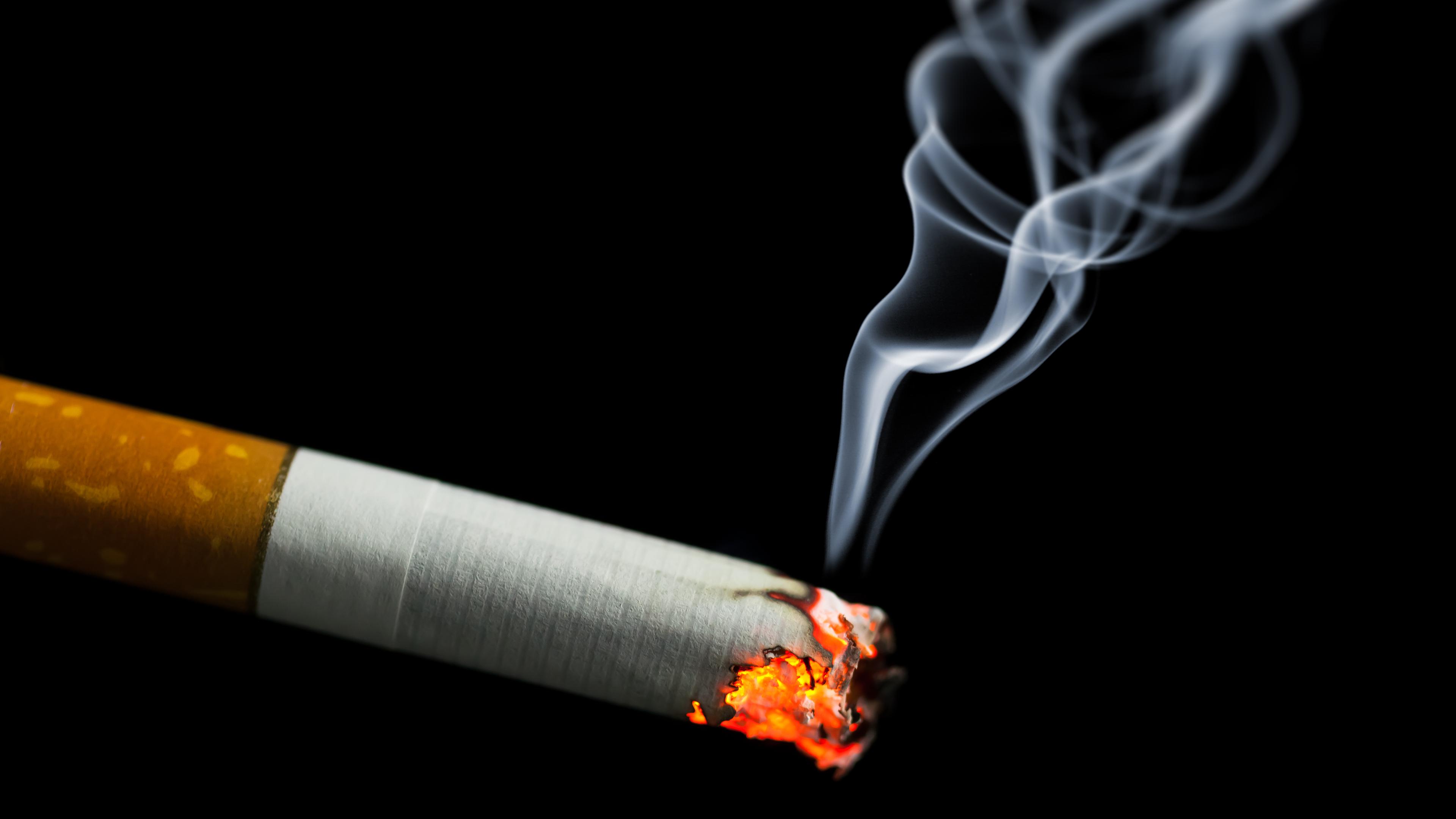 on the harmful effects of tobacco script Harmful Effects of Smoking Explained | PDF Say No to Tobacco: A