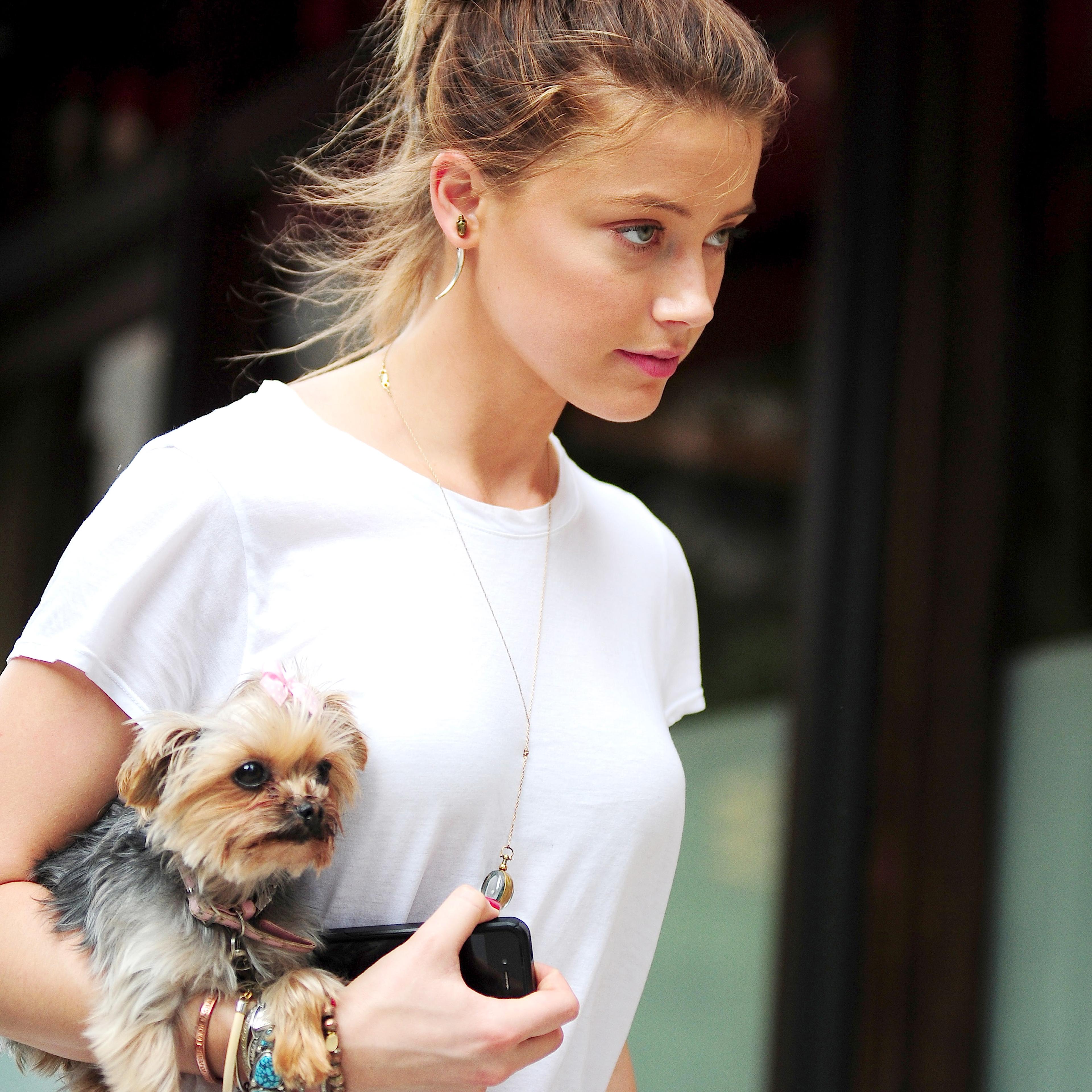 NEW YORK, NY - AUGUST 27: Amber Heard is seen in tribeca on the streets of Manhattan on August 27, 2012 in New York City. (Photo by Alo Ceballos/FilmMagic)