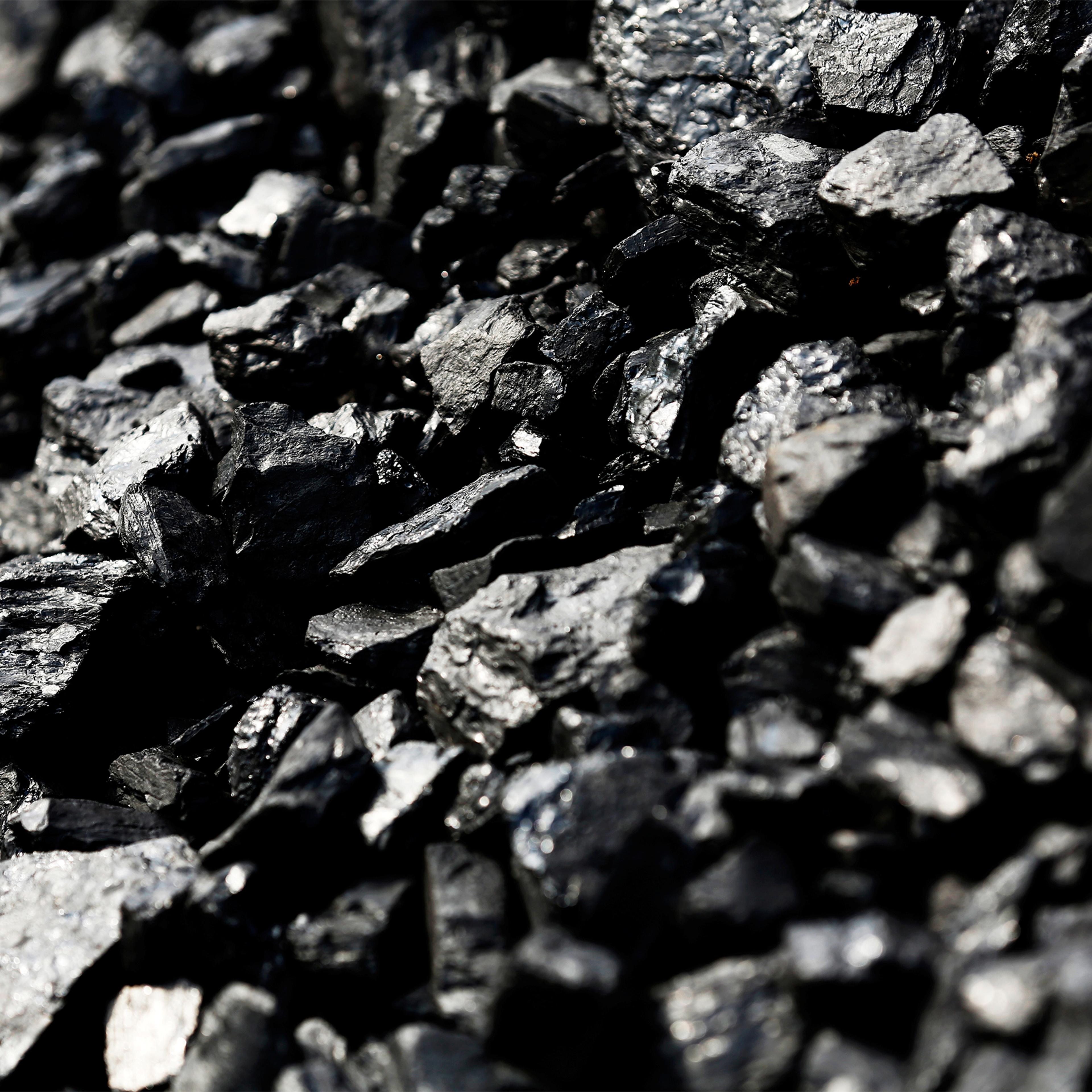 Coal regulations jobs