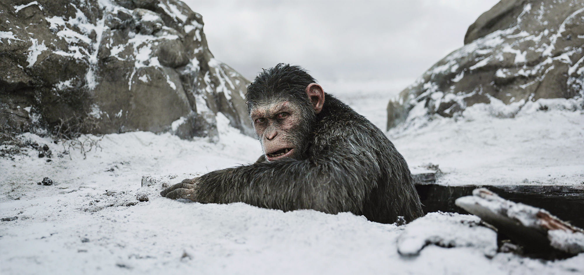 war-for-the-planet-of-the-apes
