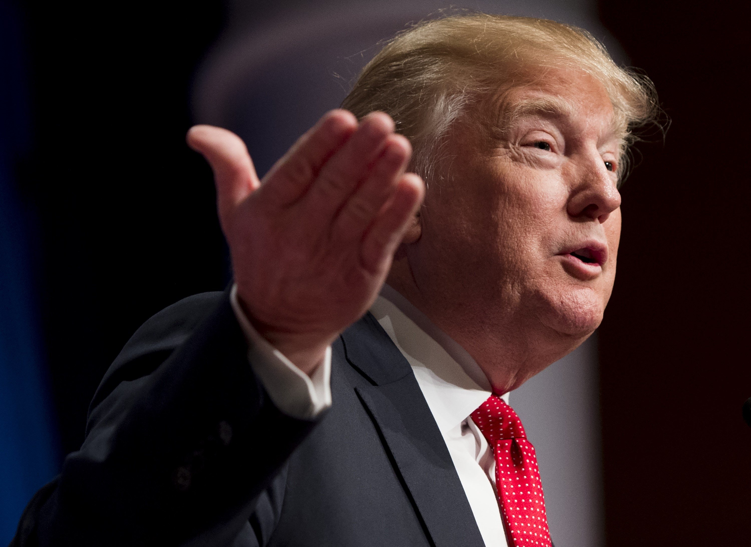 Donald Trump speaks during the 2016 Republican Jewish Coalition Presidential Candidates Forum in Washington, DC. on Dec. 7 2015.