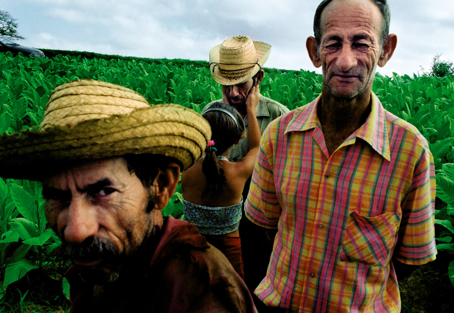 The following images are from Ernesto Bazan's latest self-published book <i>Al Campo</i>.<br>