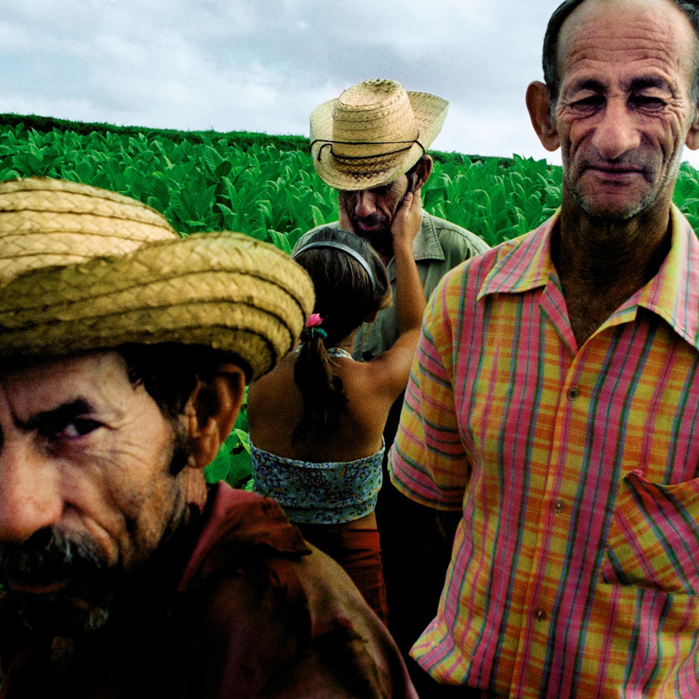 The following images are from Ernesto Bazan's latest self-published book <i>Al Campo</i>.<br>