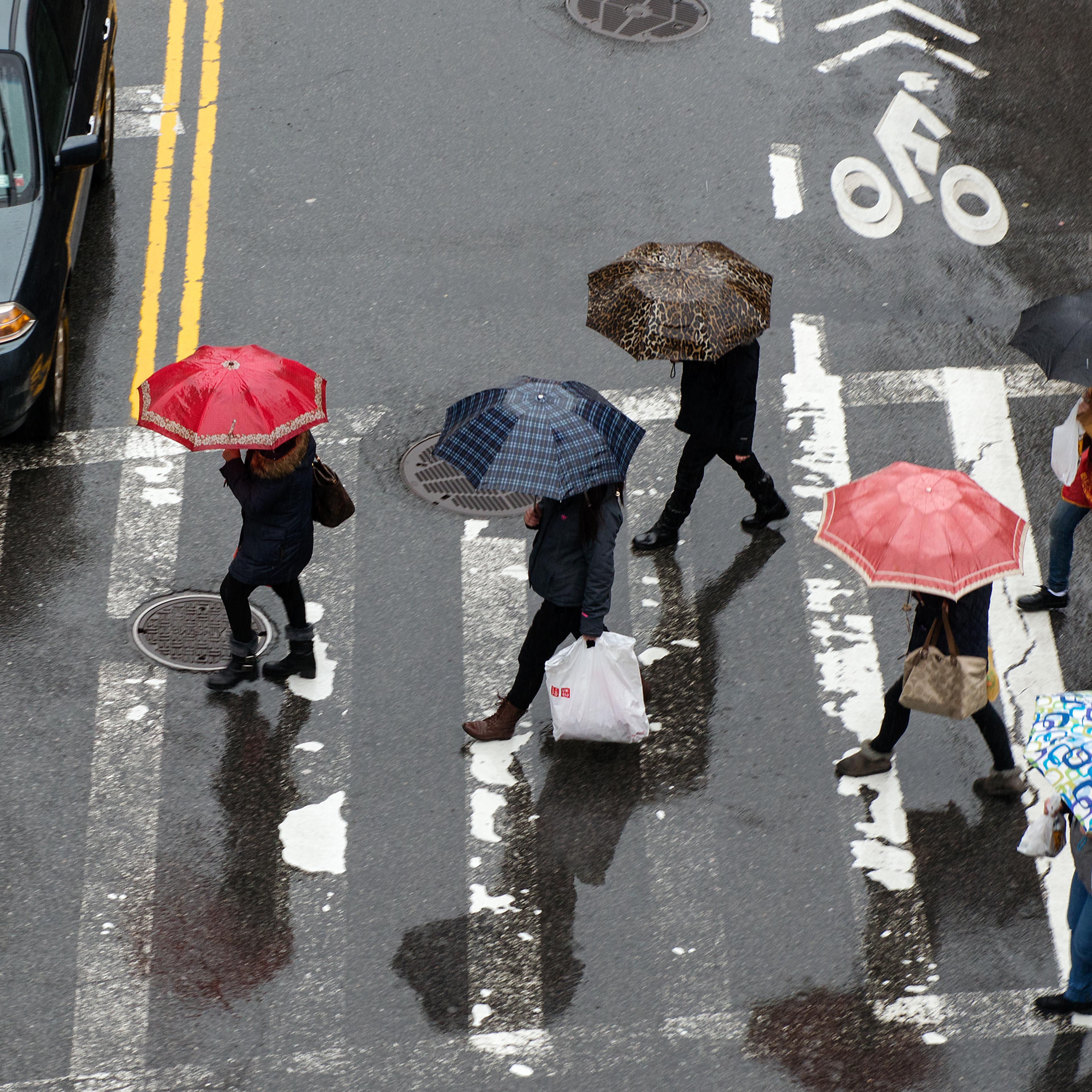 Winter Rain Dampens New York City