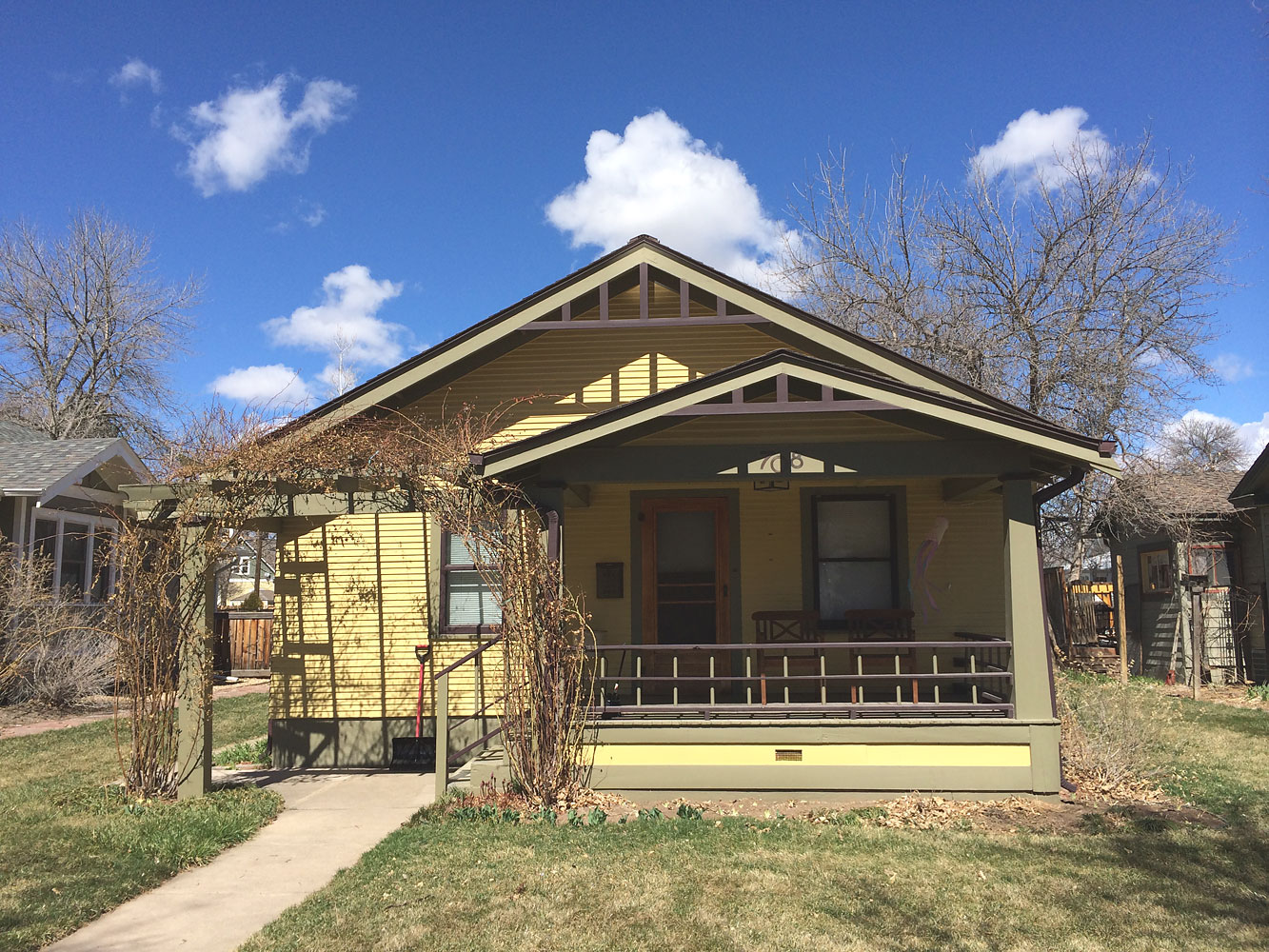 American Suburban Houses