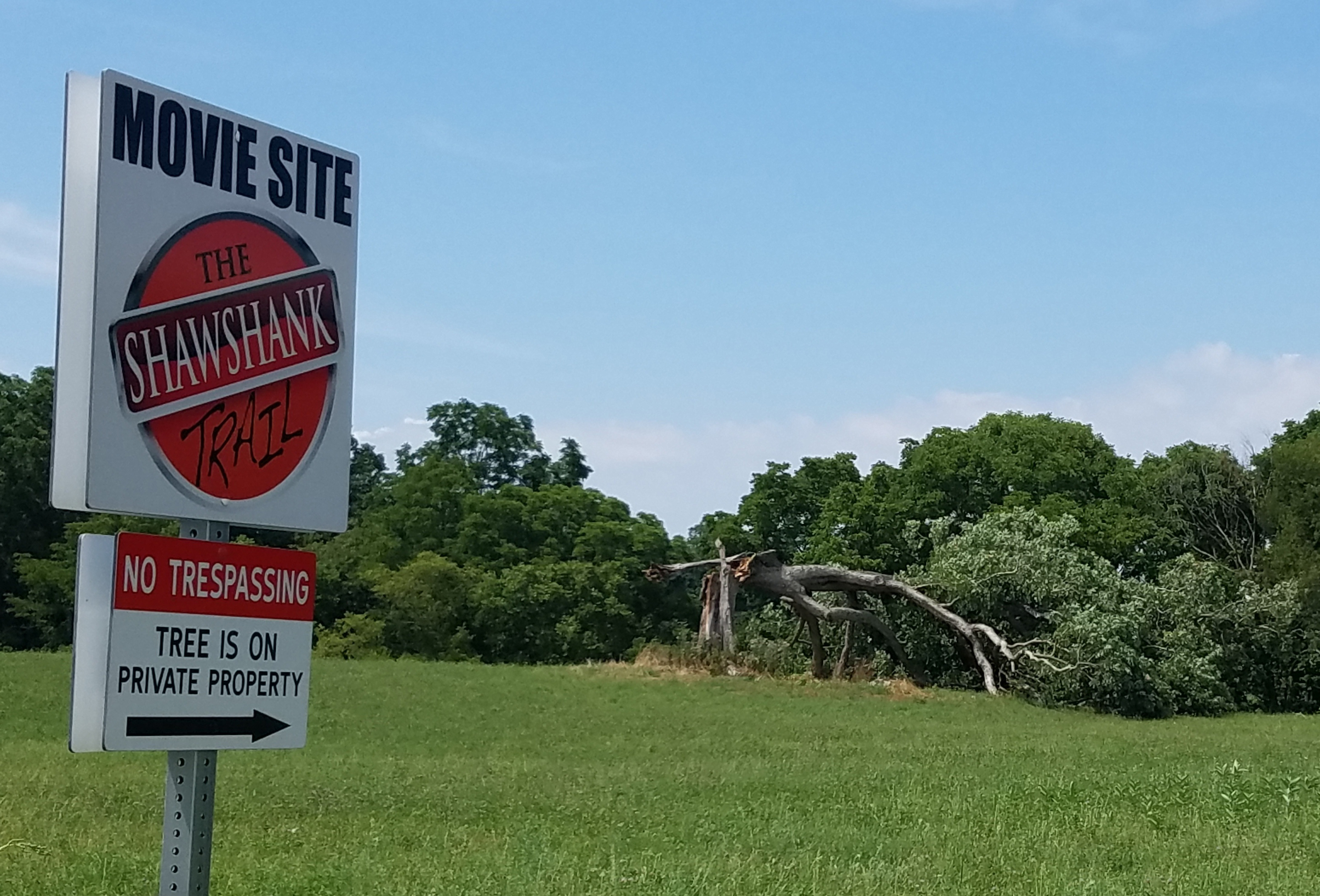 Ohio Tree Shawshank