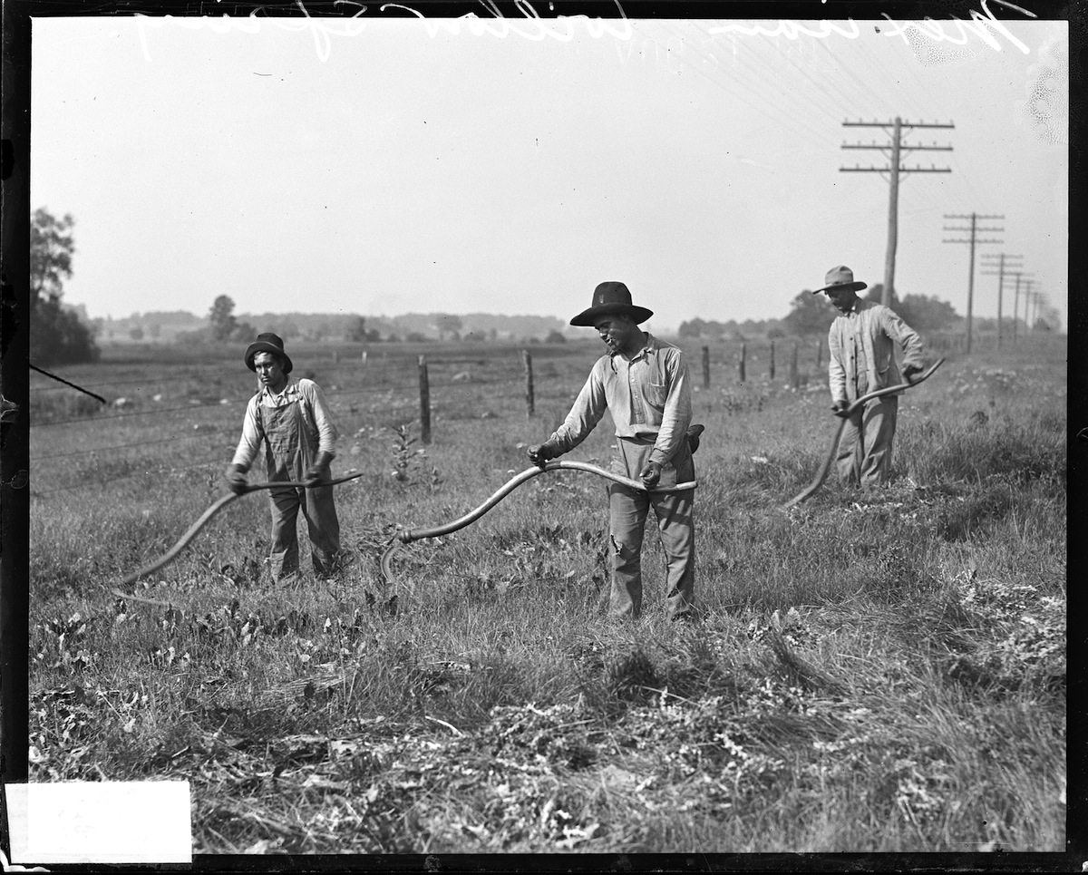 Mexican Workers