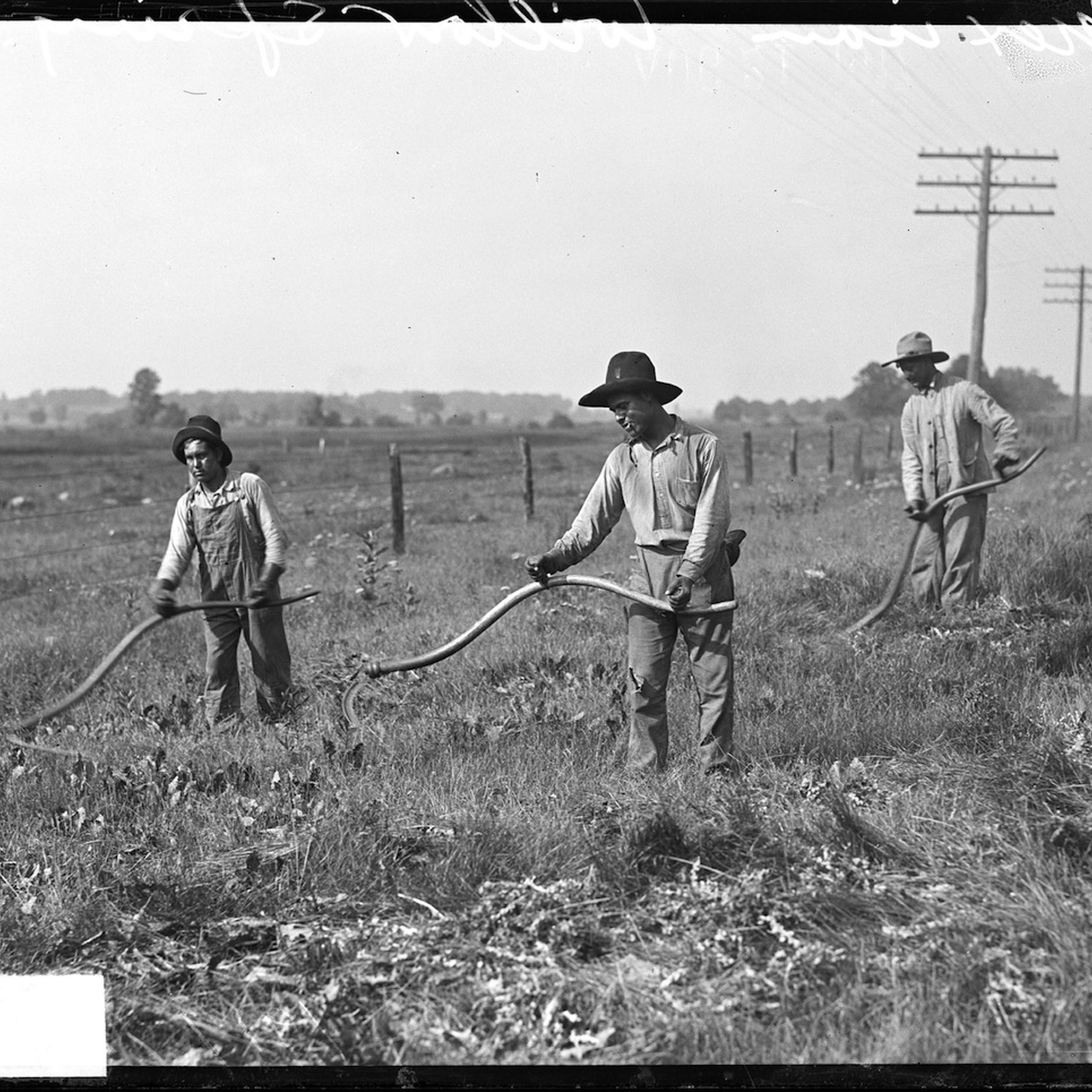 Mexican Workers